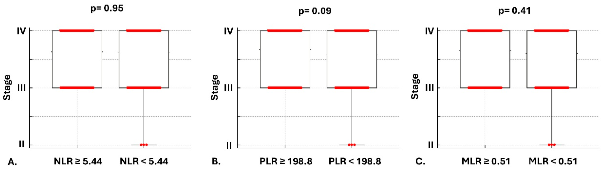 Cancers 17 03879 g002 Cancers 17 03879 g002