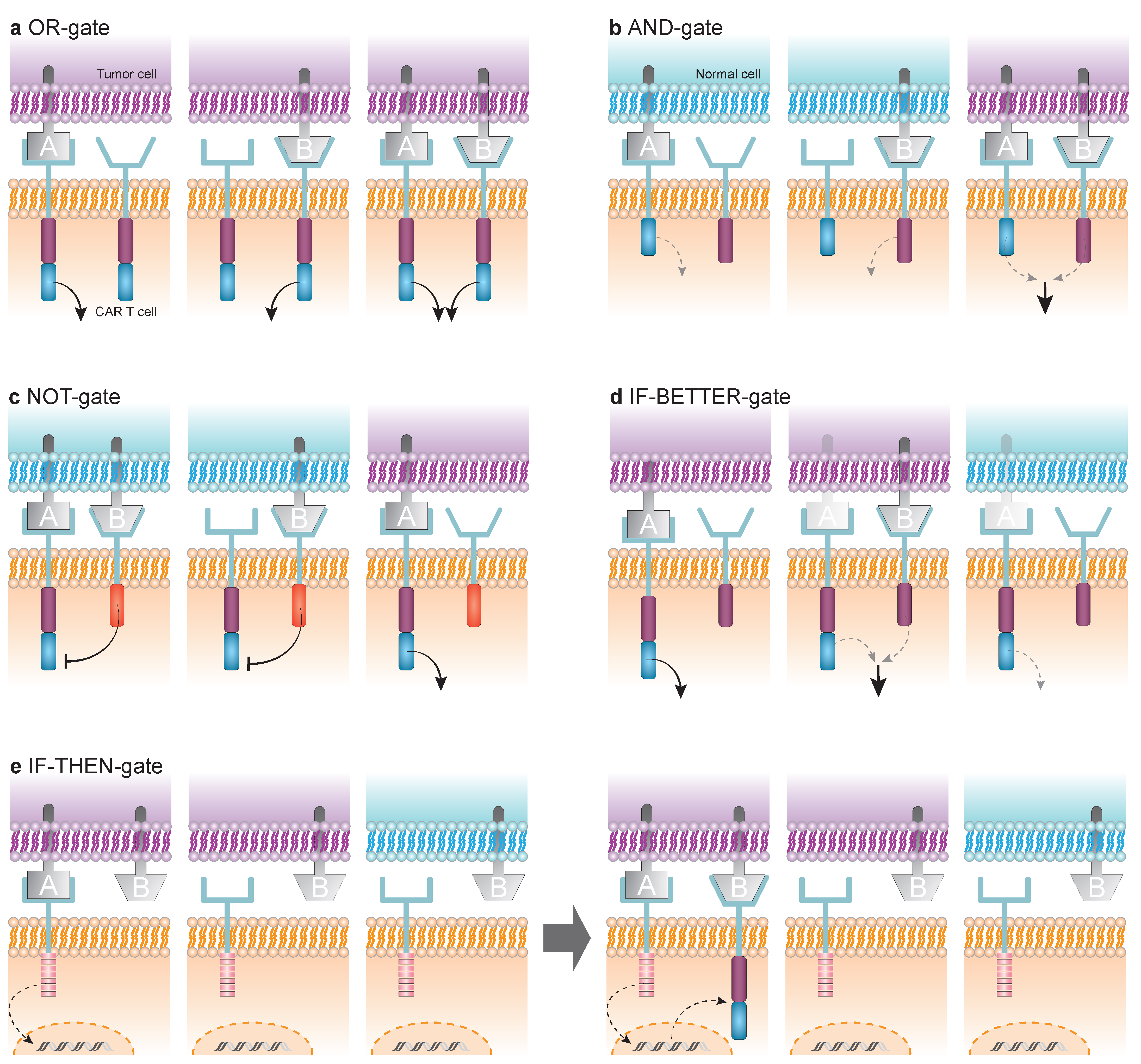 Cancers 17 03892 g002 Cancers 17 03892 g002