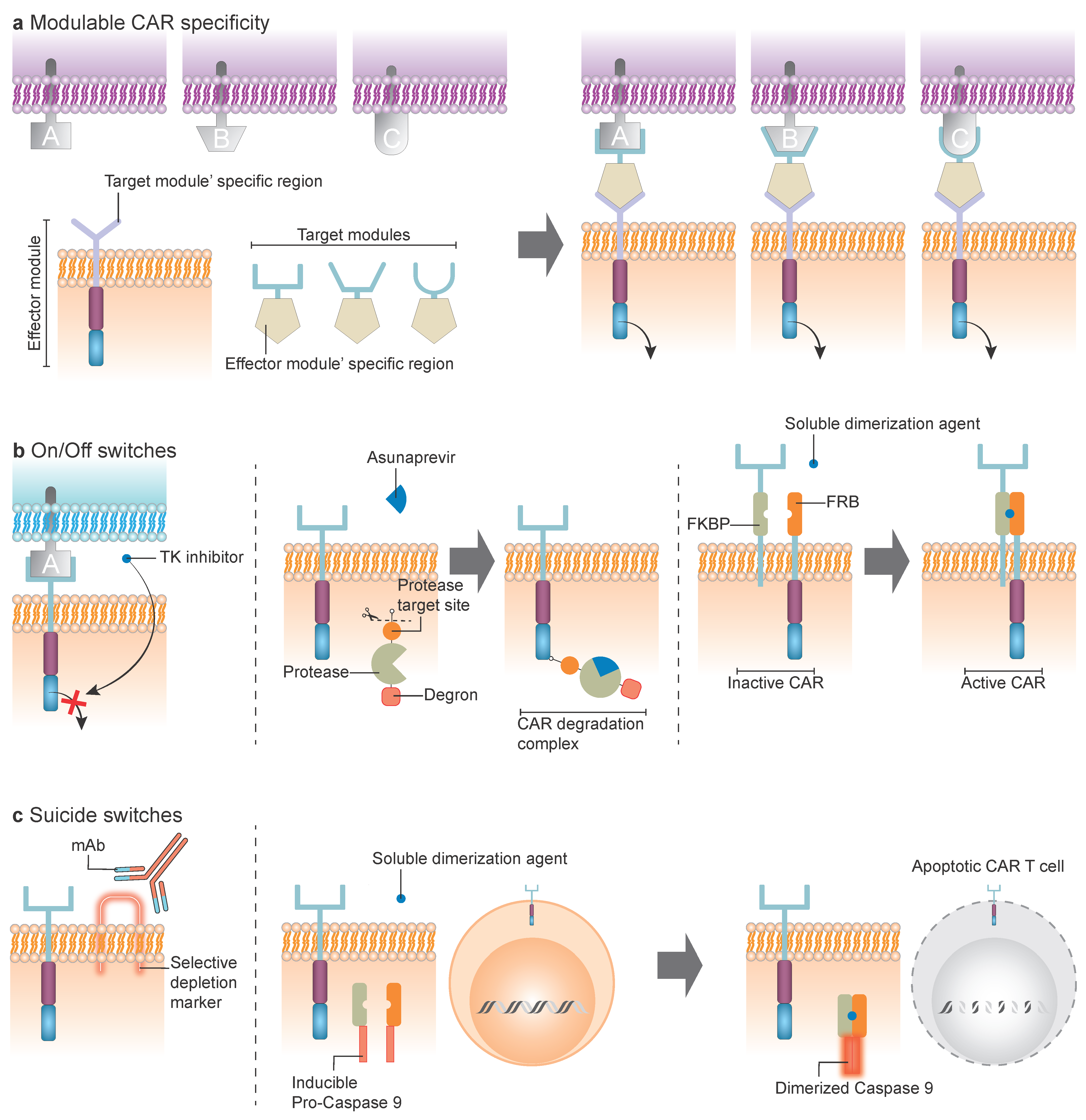 Cancers 17 03892 g003 Cancers 17 03892 g003