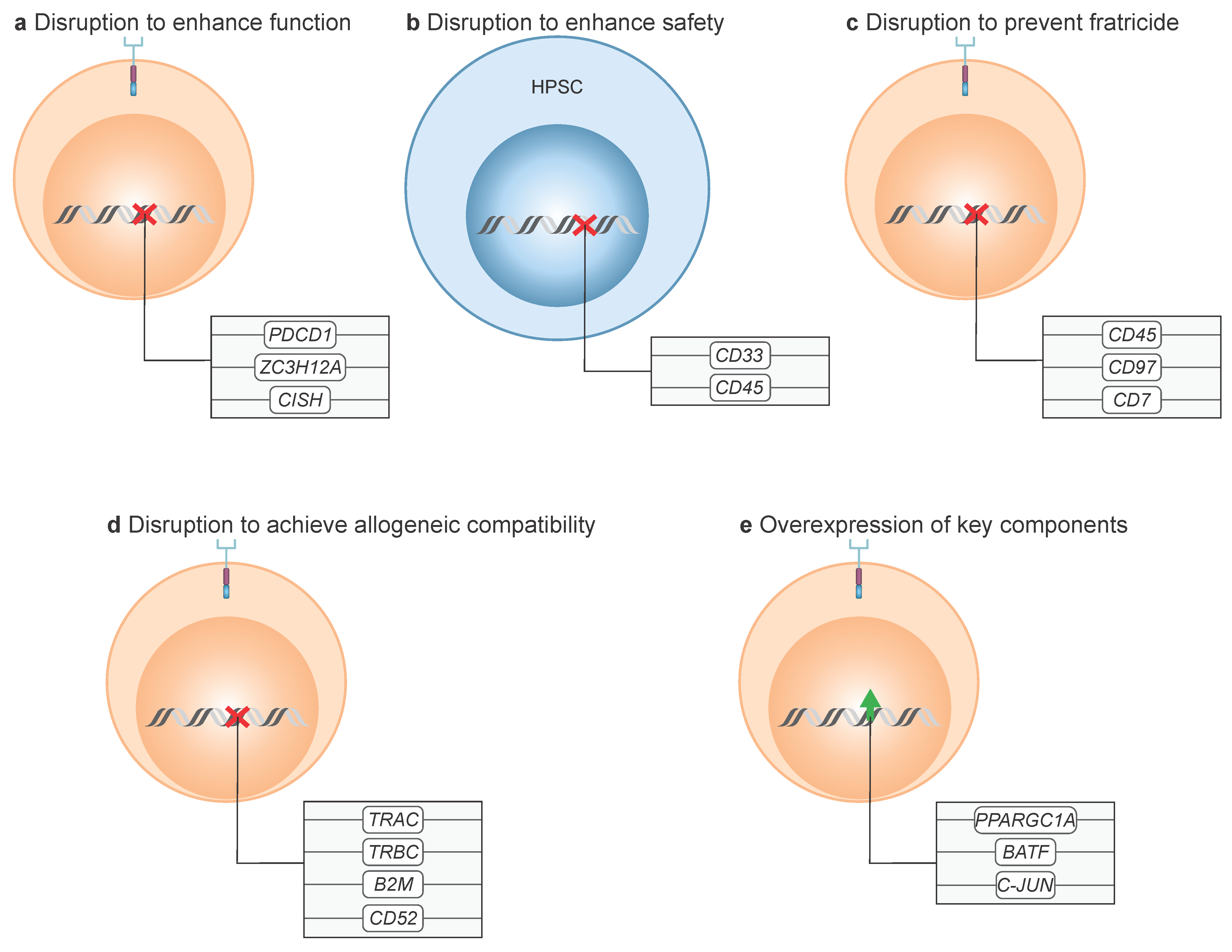 Cancers 17 03892 g005 Cancers 17 03892 g005