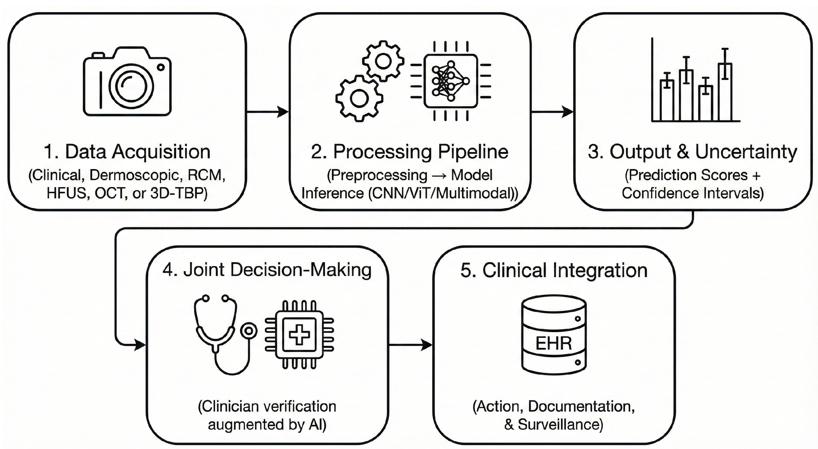 Cancers 17 03896 g003