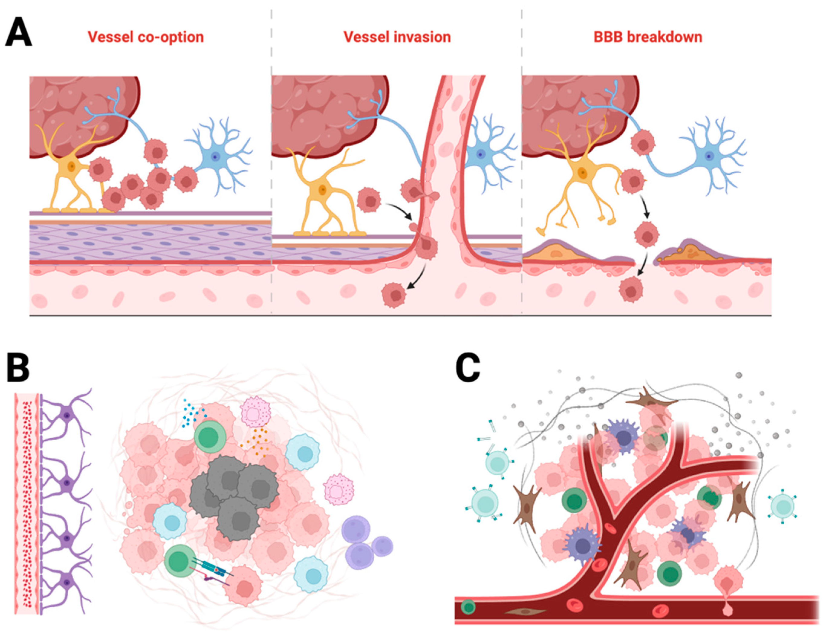 Cancers 17 03905 g001
