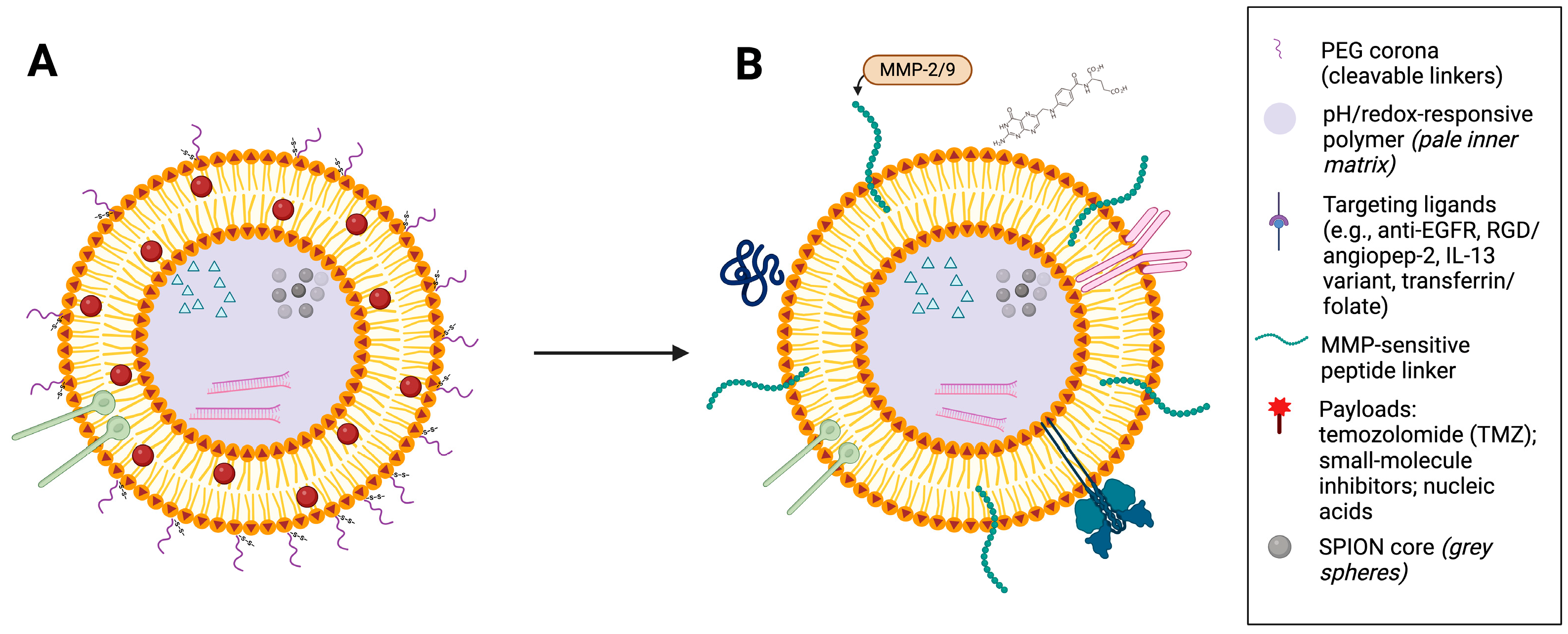 Cancers 17 03905 g002
