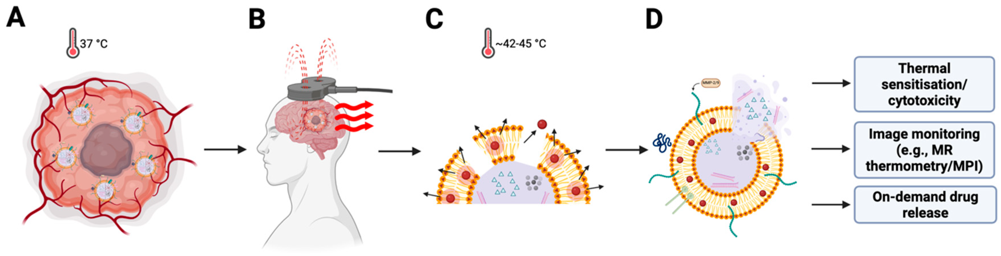 Cancers 17 03905 g003