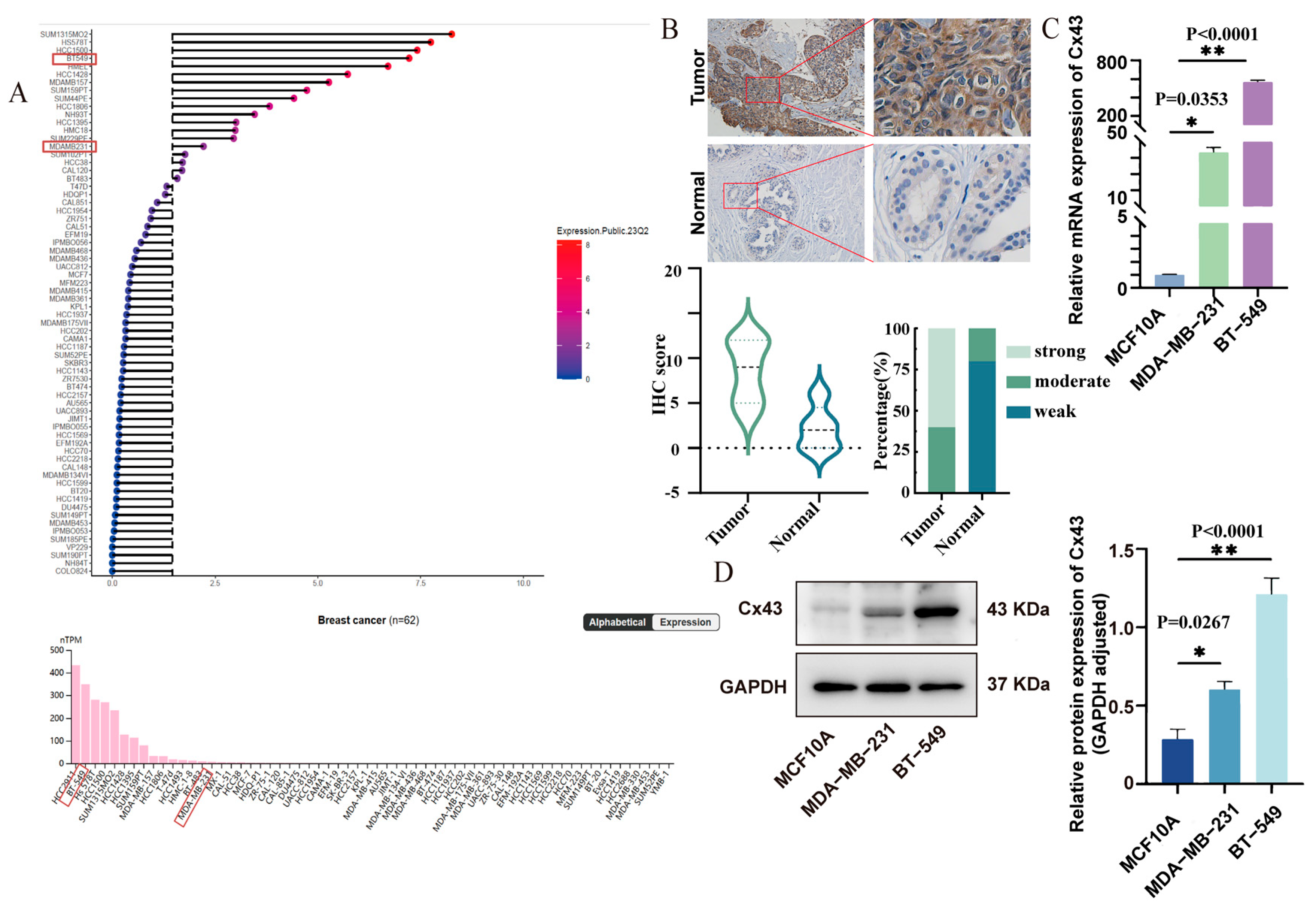 Cancers 17 03923 g001 Cancers 17 03923 g001