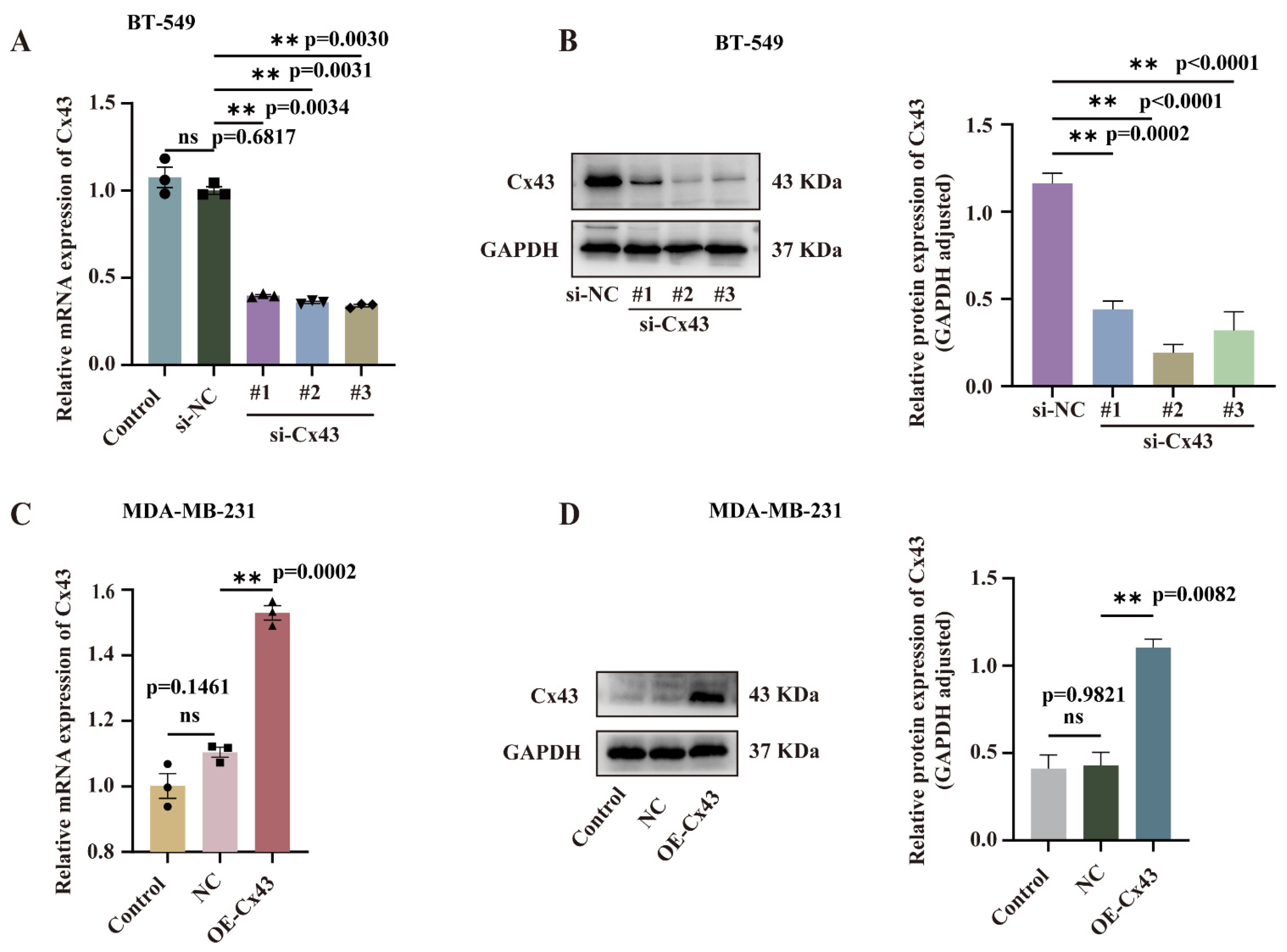 Cancers 17 03923 g002 Cancers 17 03923 g002