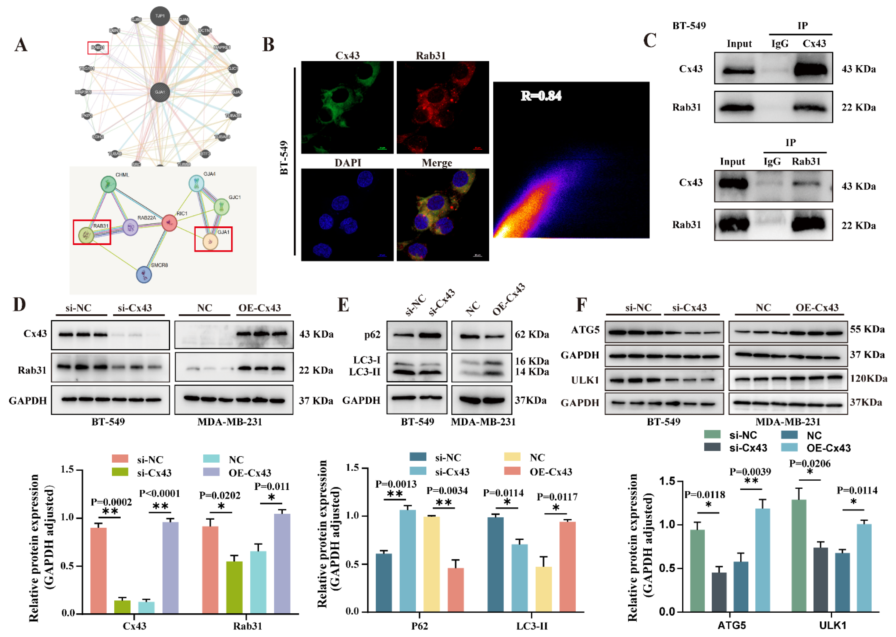 Cancers 17 03923 g004 Cancers 17 03923 g004