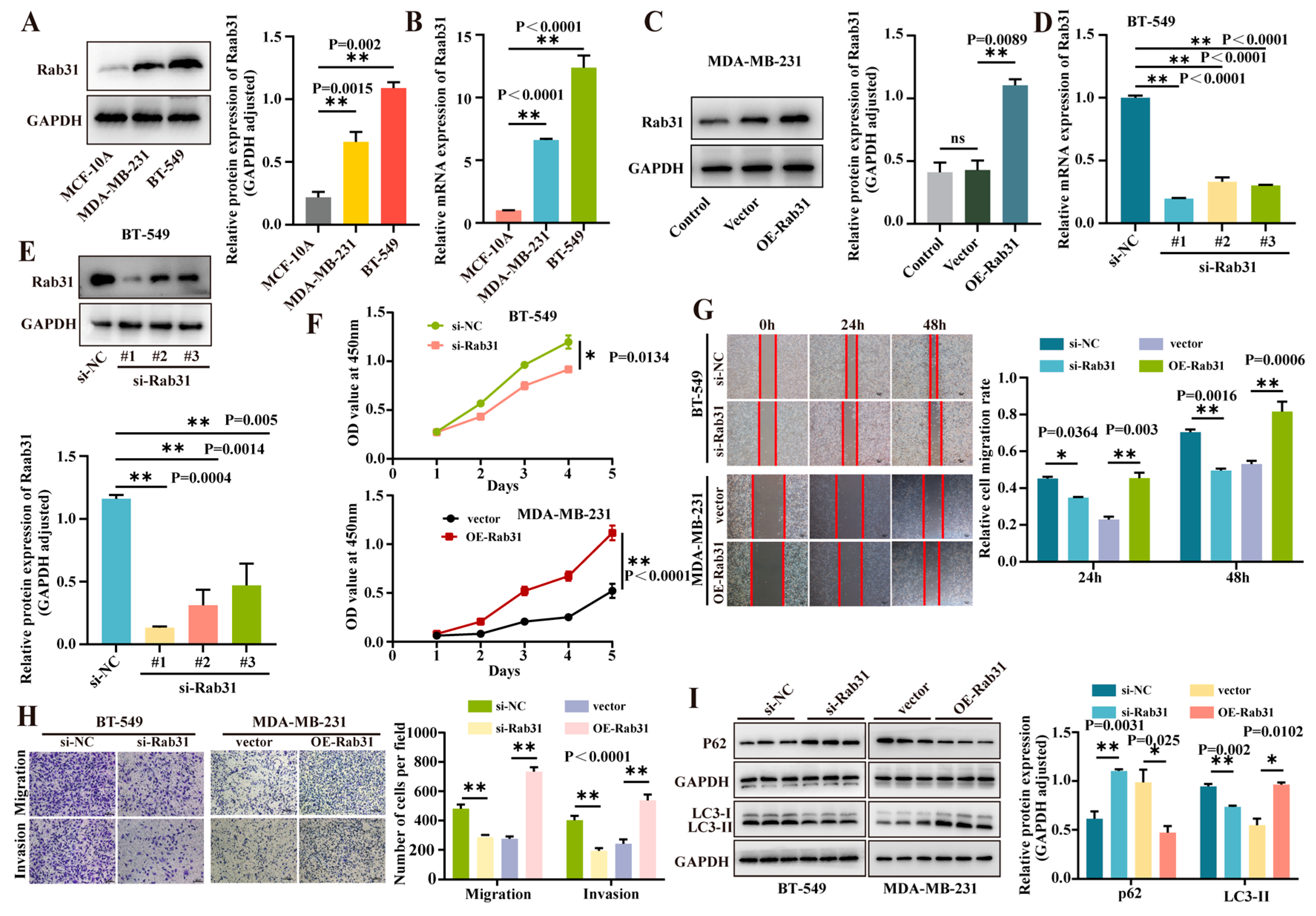 Cancers 17 03923 g005 Cancers 17 03923 g005