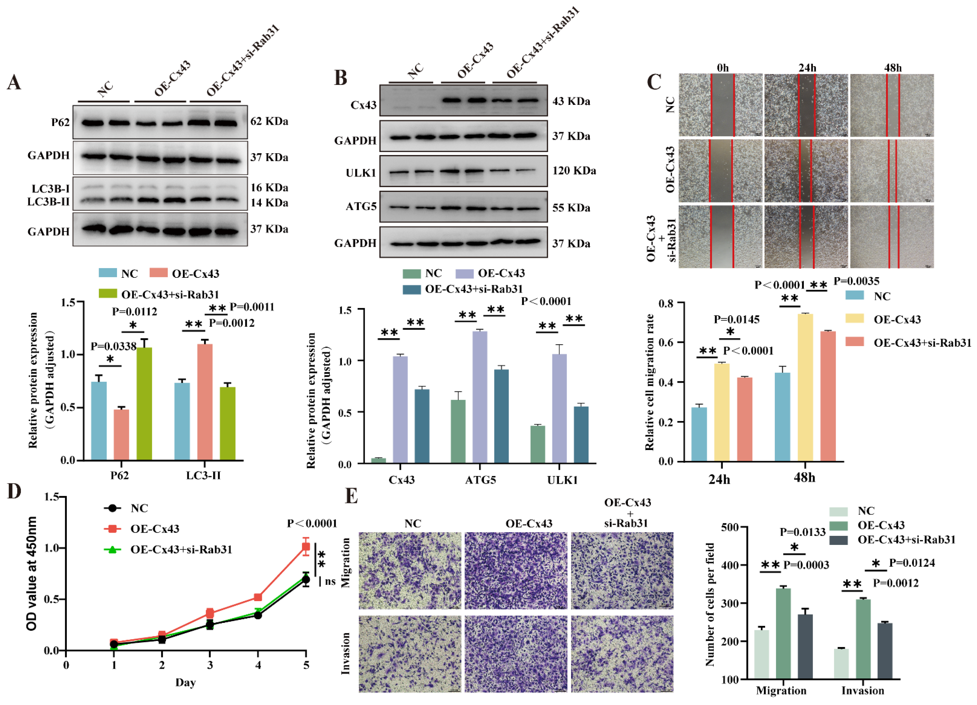 Cancers 17 03923 g006 Cancers 17 03923 g006