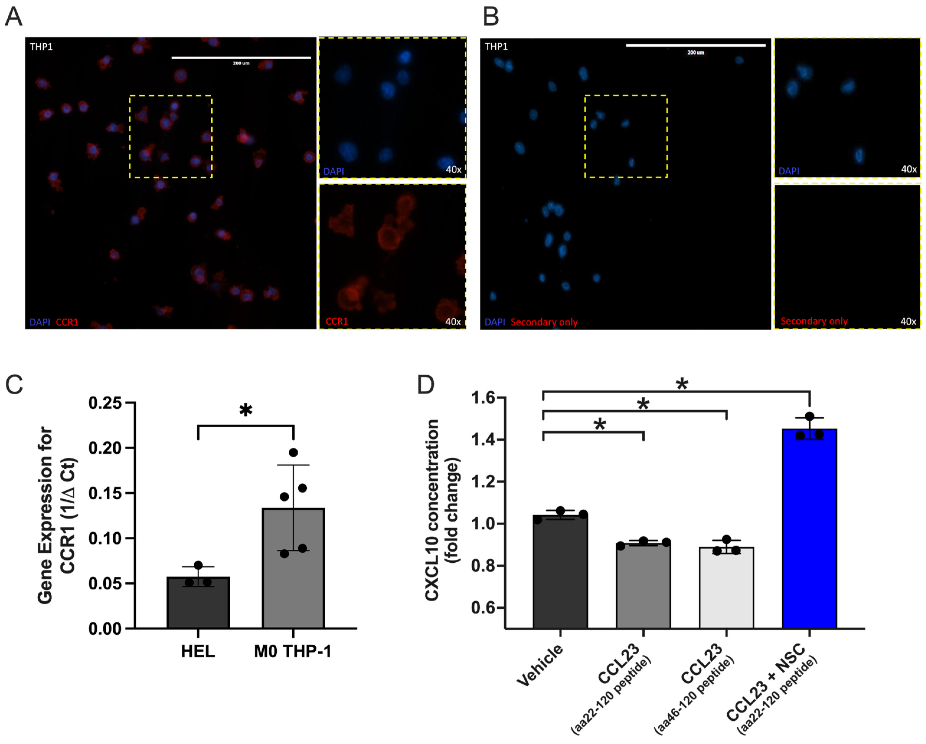 Cancers 17 03925 g004 Cancers 17 03925 g004