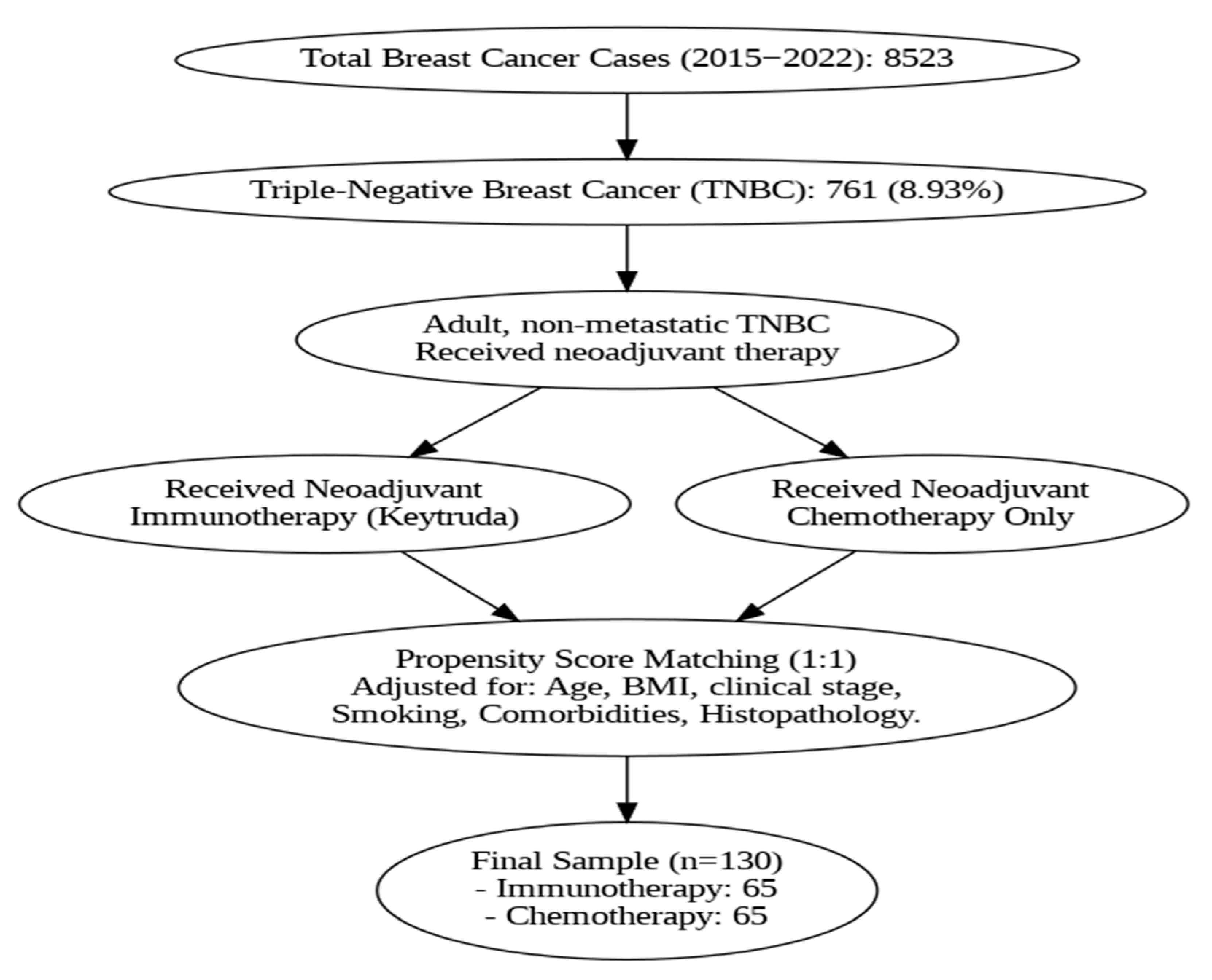 Cancers 17 03933 g001