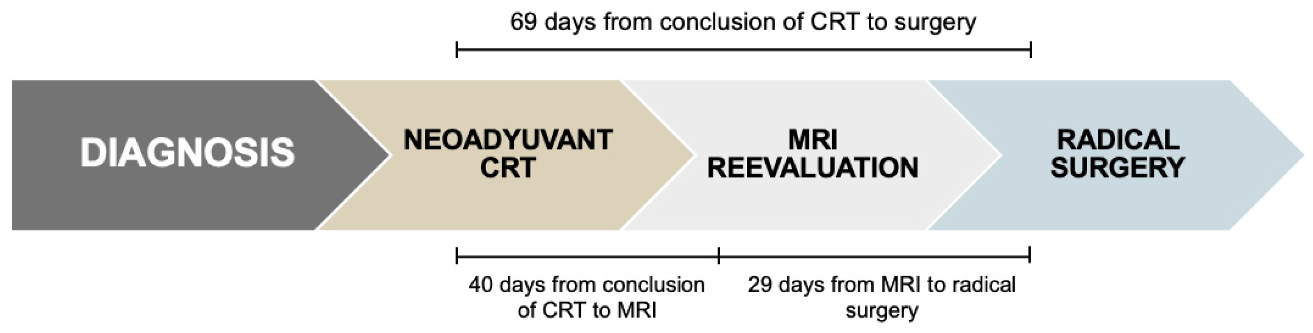 Cancers 17 03937 g001