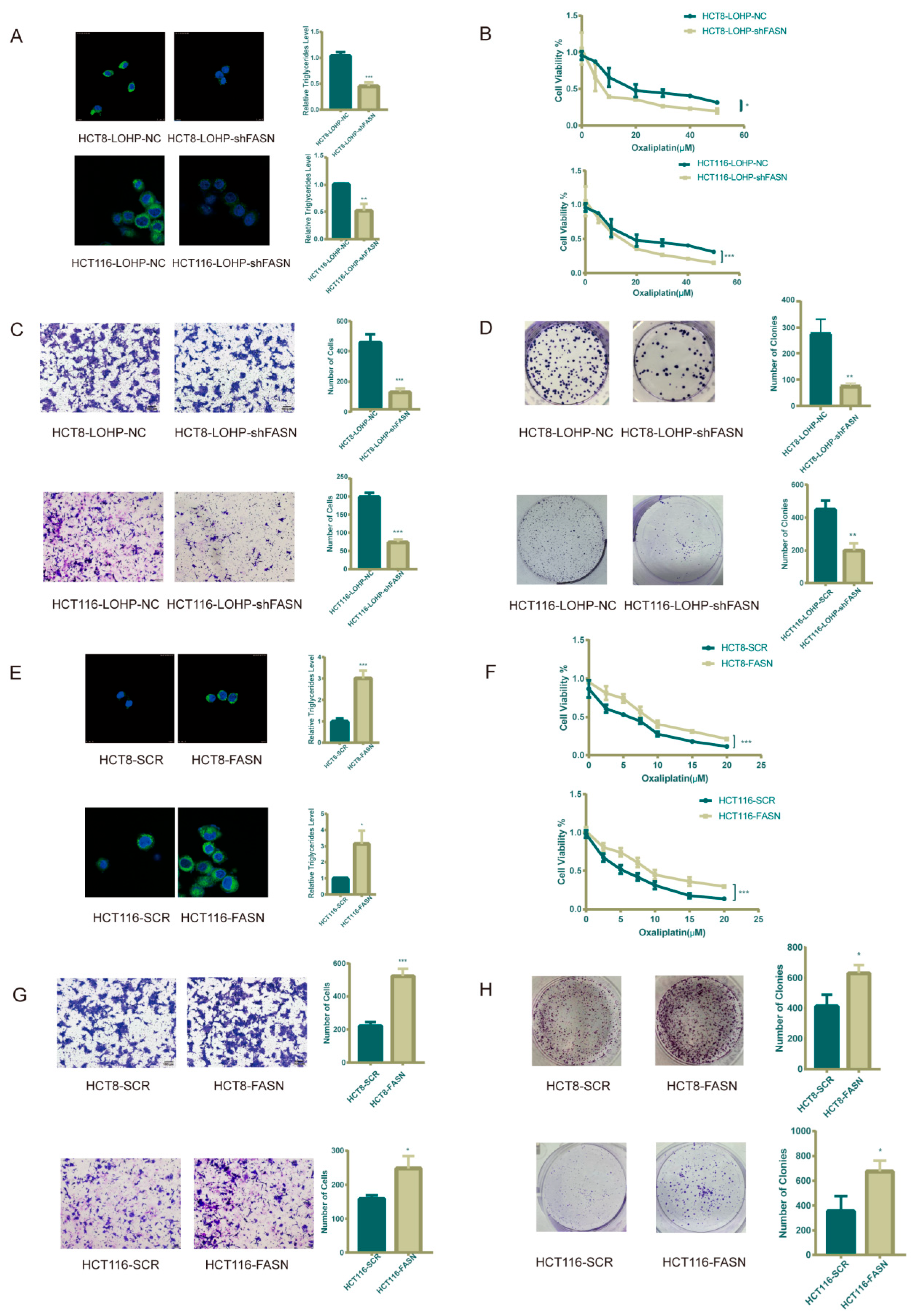 Cancers 17 03941 g002 Cancers 17 03941 g002