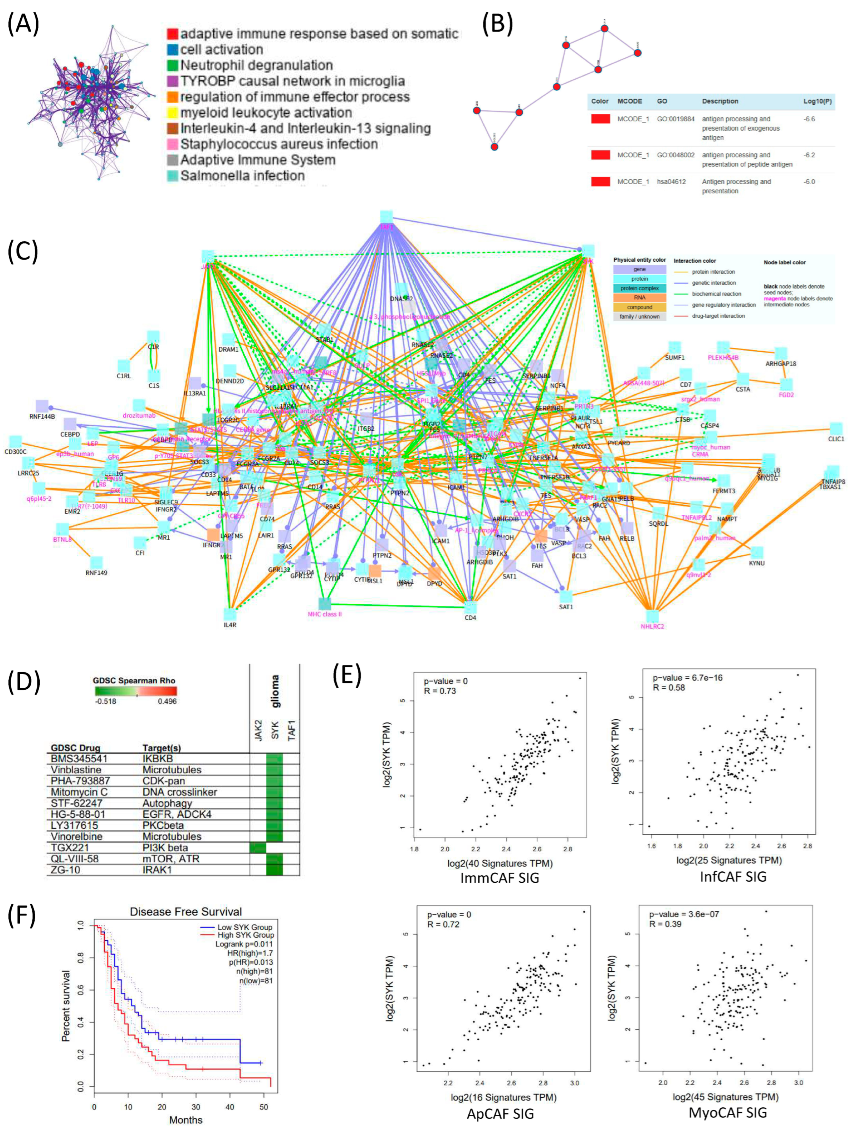 Cancers 17 03942 g004