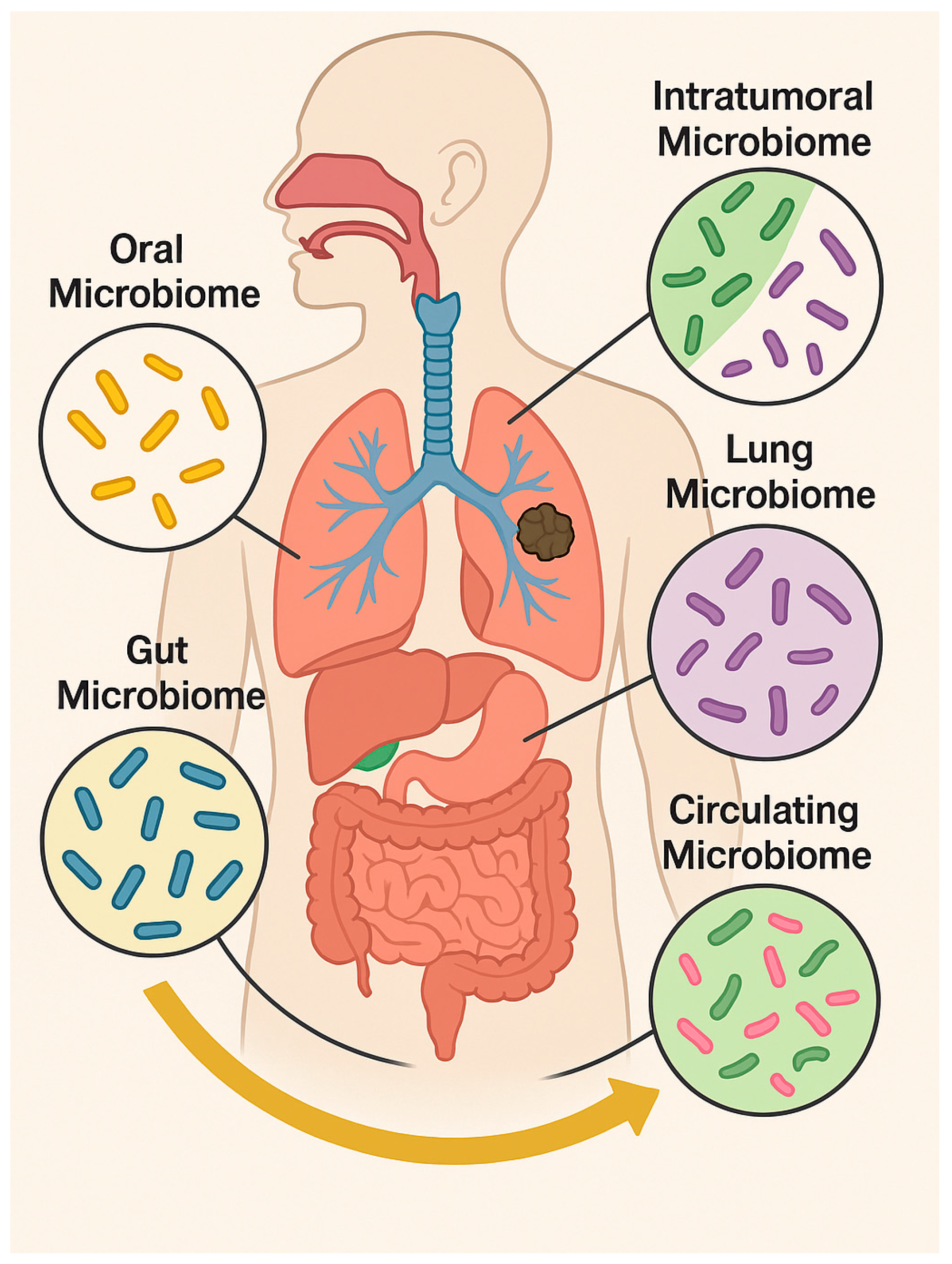 Cancers 17 03946 g001 Cancers 17 03946 g001