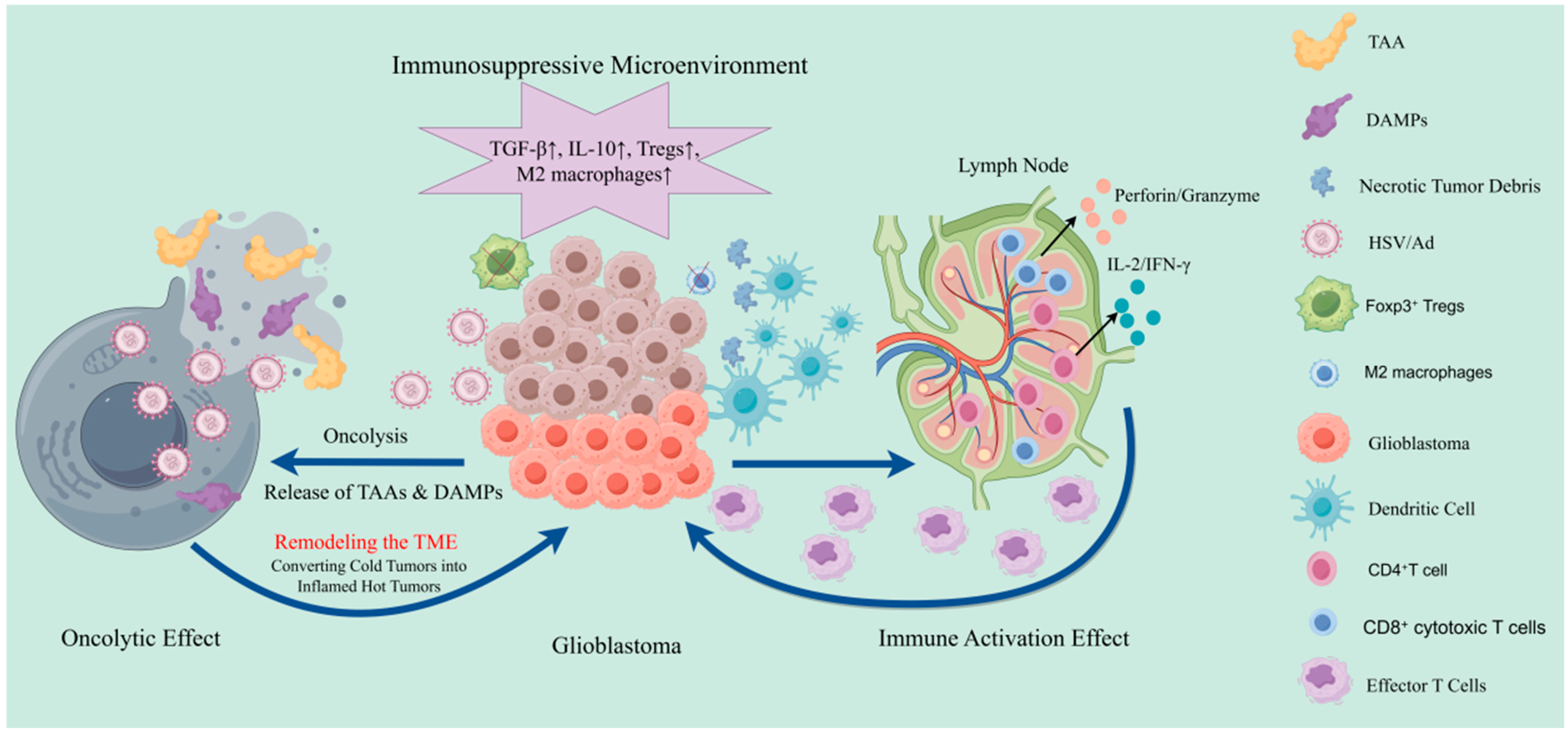 Cancers 17 03948 g001 Cancers 17 03948 g001
