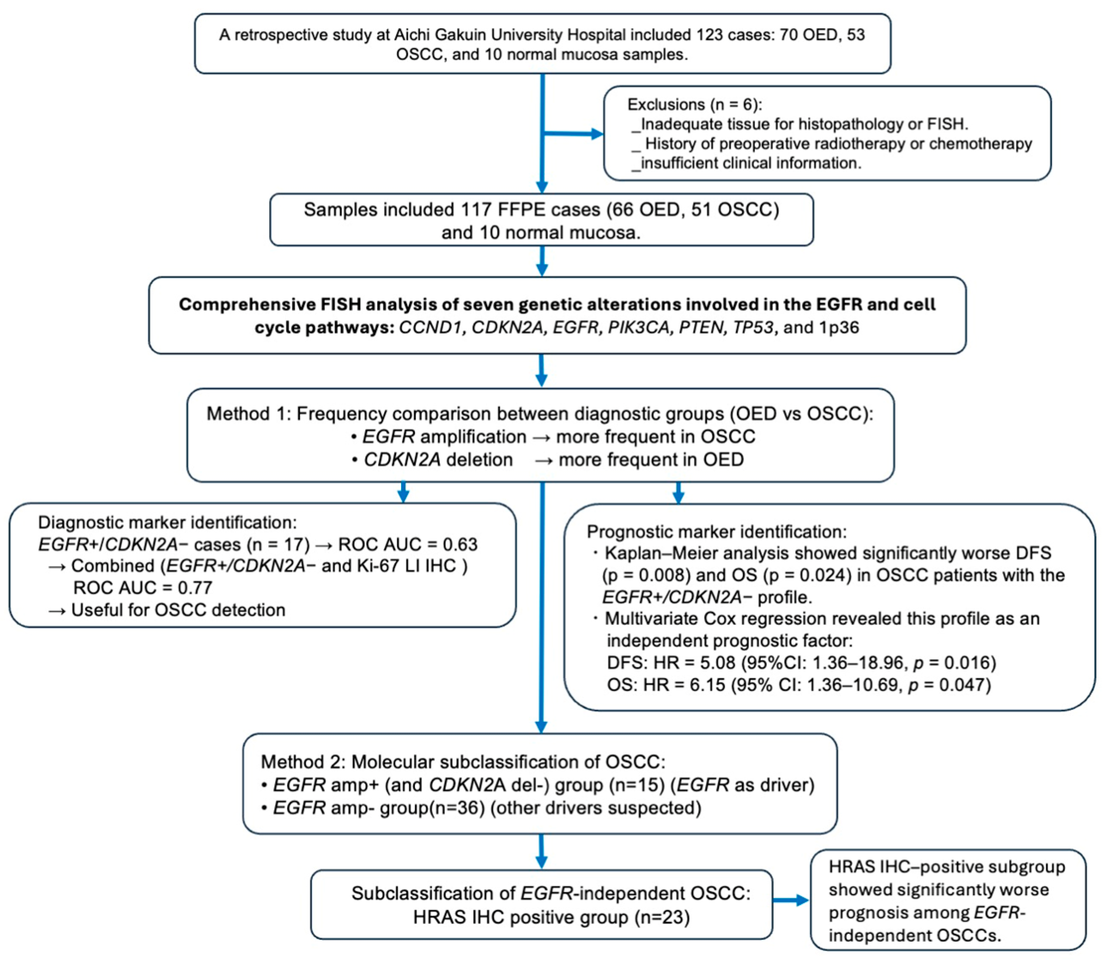 Cancers 17 03949 g001 Cancers 17 03949 g001