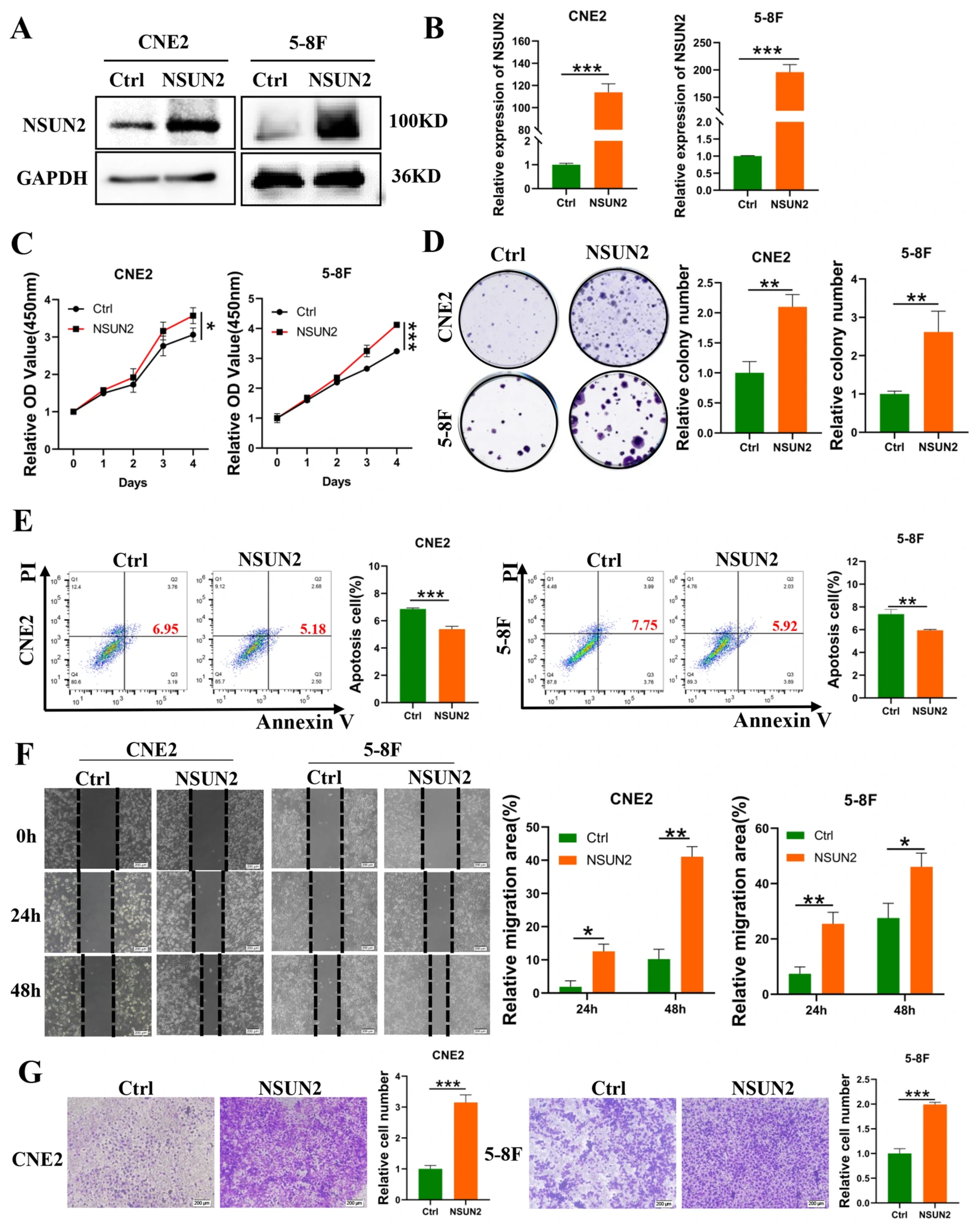 Cancers 17 03950 g002 Cancers 17 03950 g002