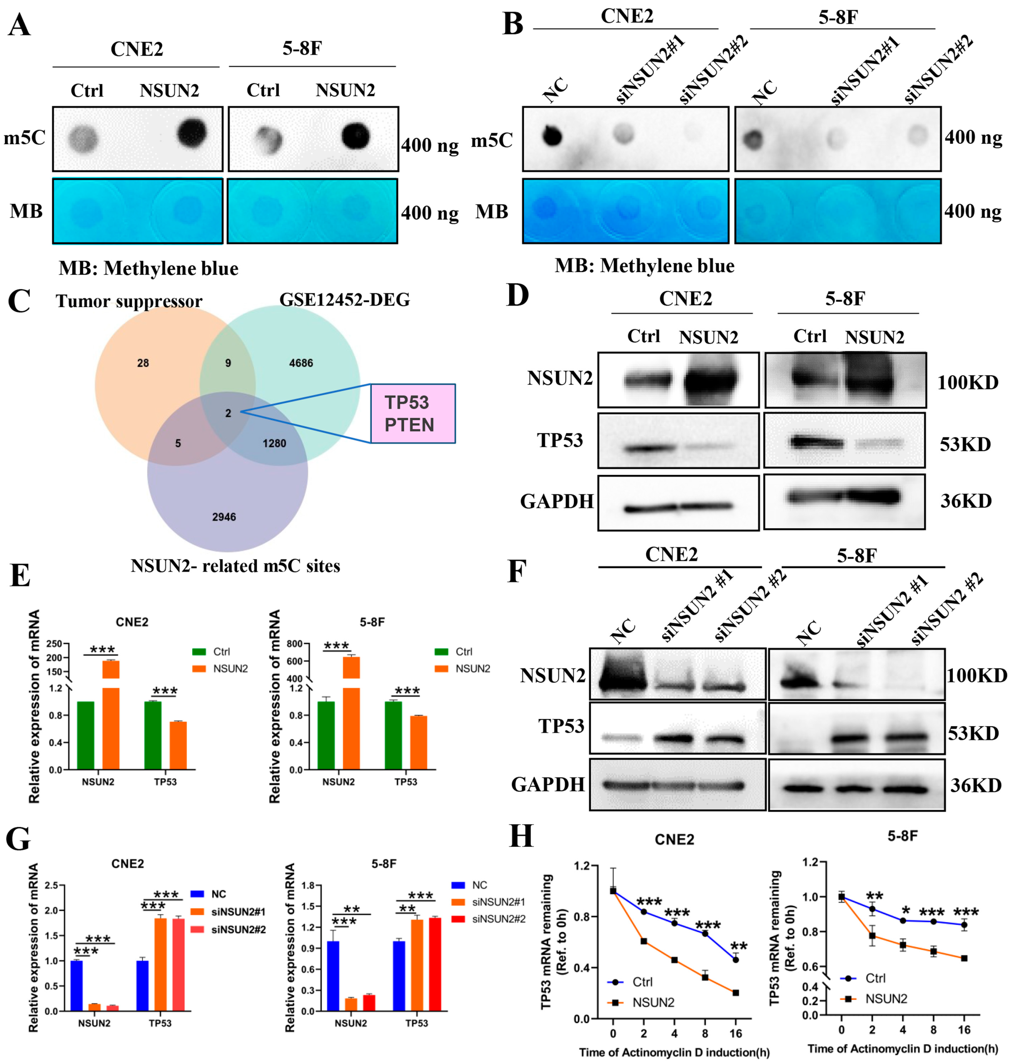 Cancers 17 03950 g004 Cancers 17 03950 g004