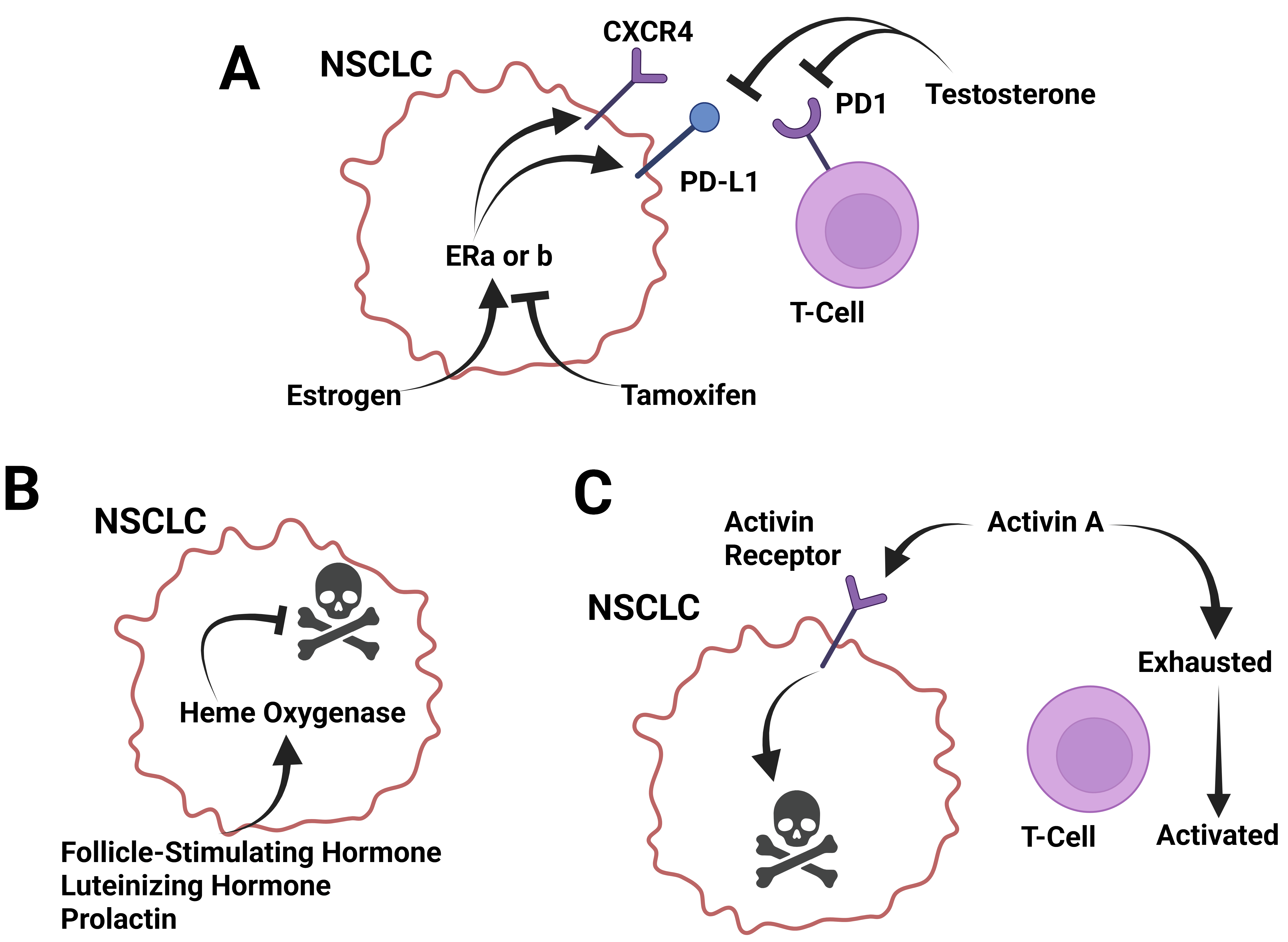 Cancers 17 03953 g002