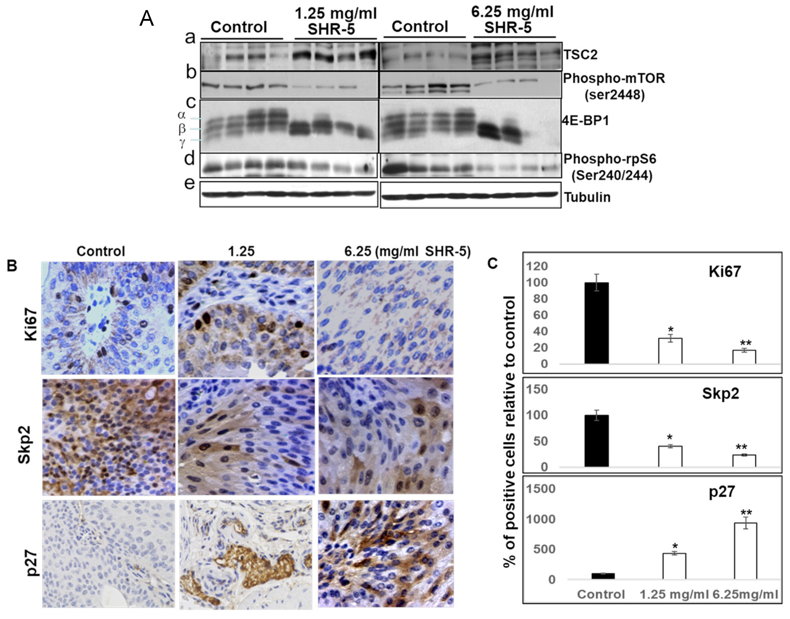 Cancers 17 03954 g005 Cancers 17 03954 g005