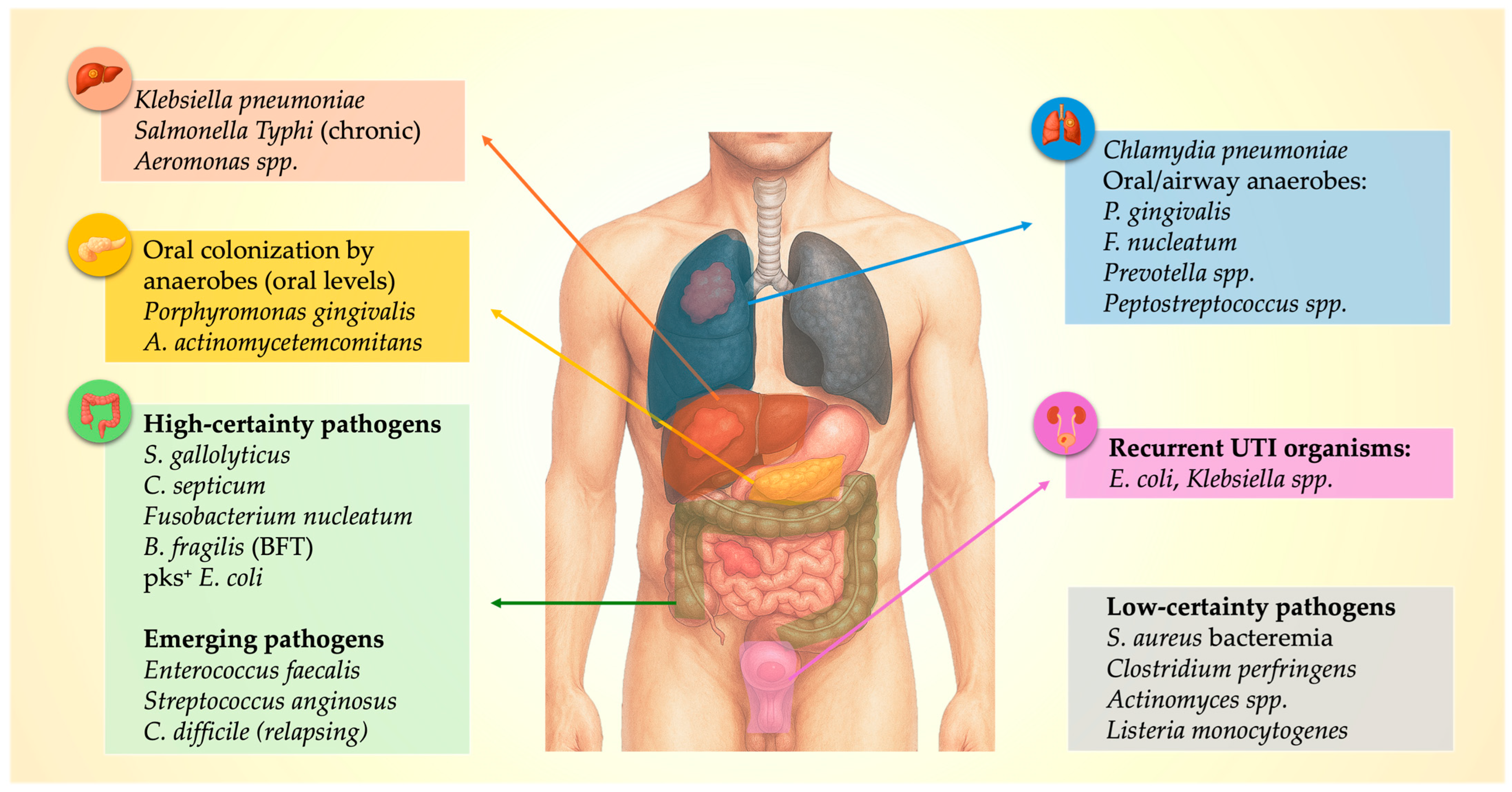 Cancers 17 03958 g001