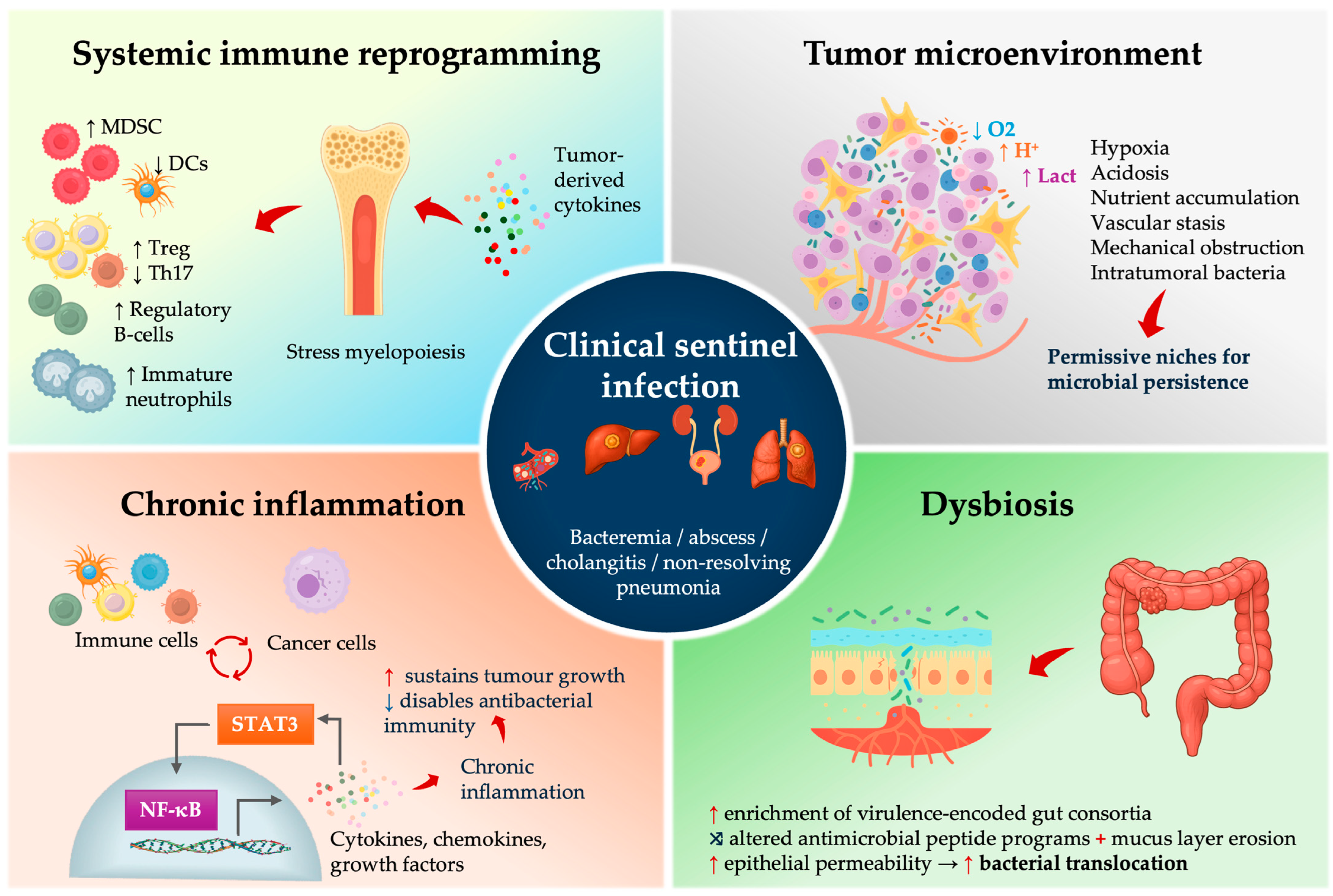 Cancers 17 03958 g002