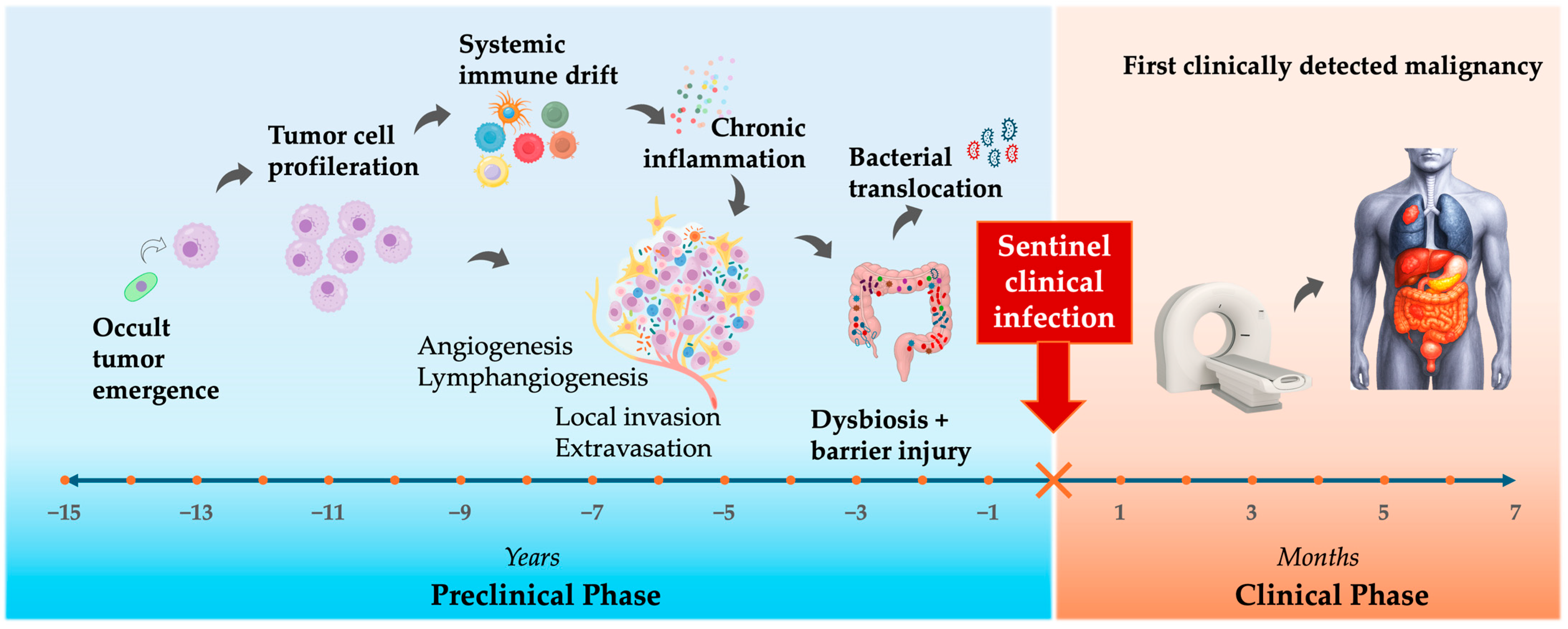 Cancers 17 03958 g003