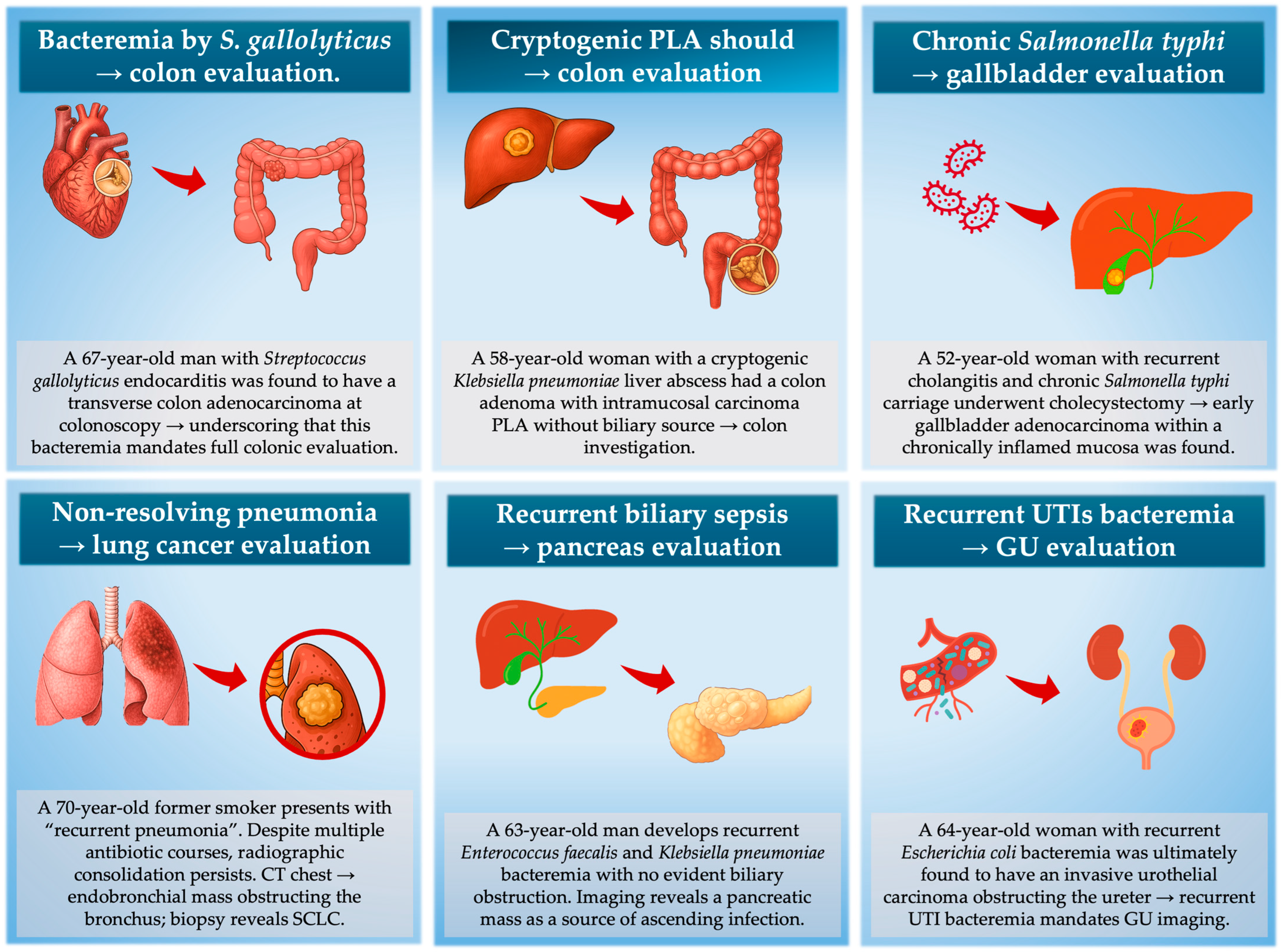 Cancers 17 03958 g004