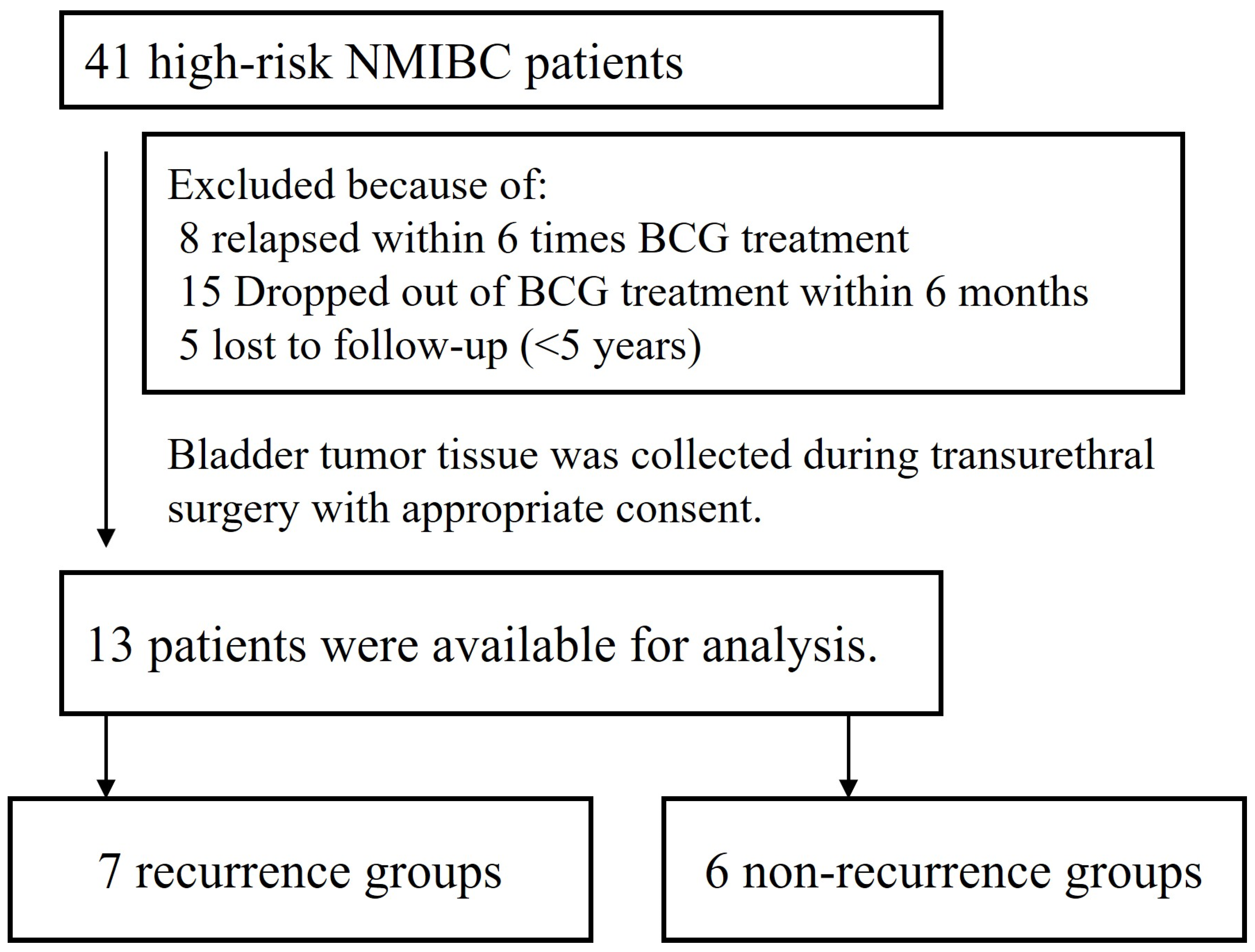 Cancers 17 03964 g001 Cancers 17 03964 g001