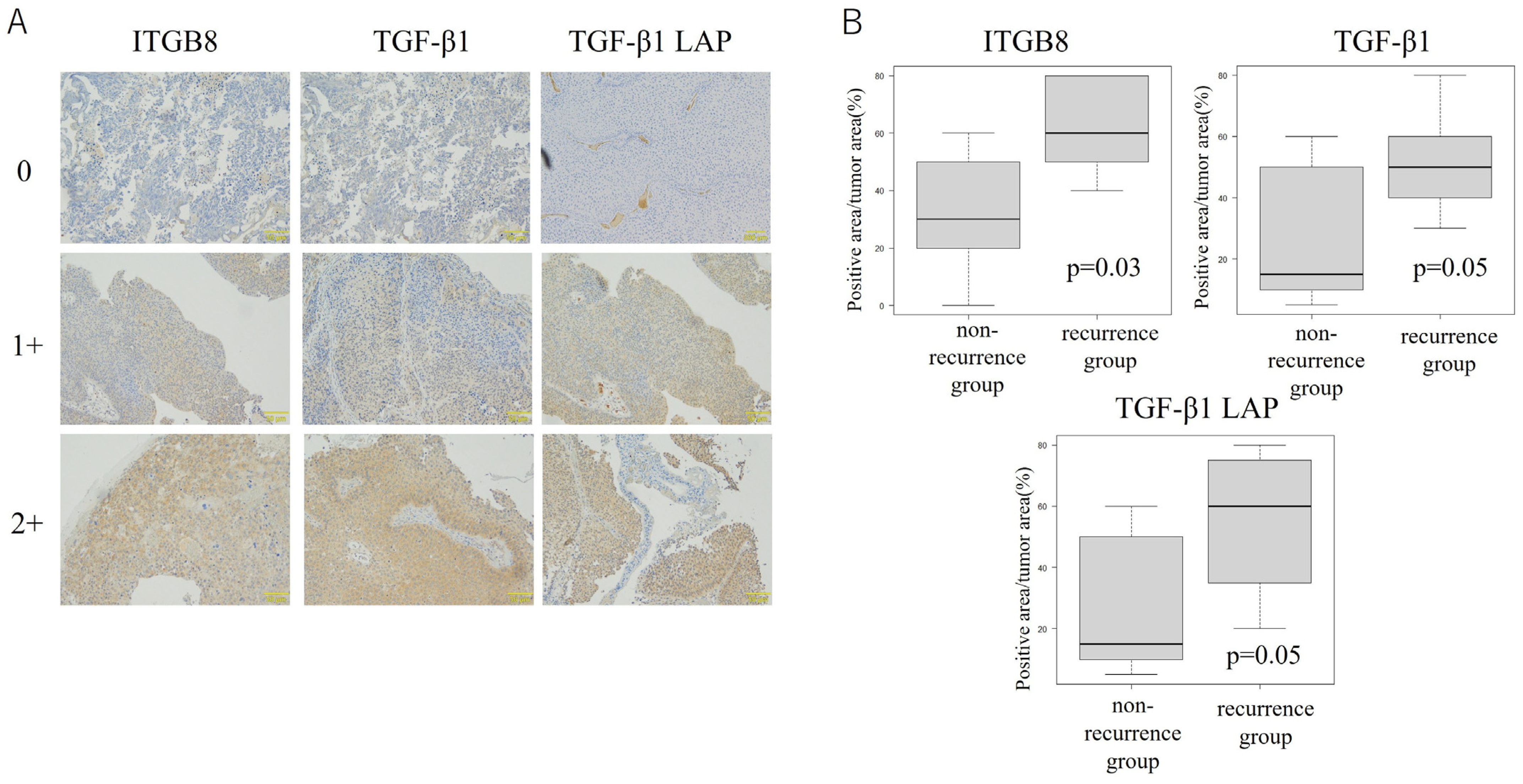 Cancers 17 03964 g006 Cancers 17 03964 g006