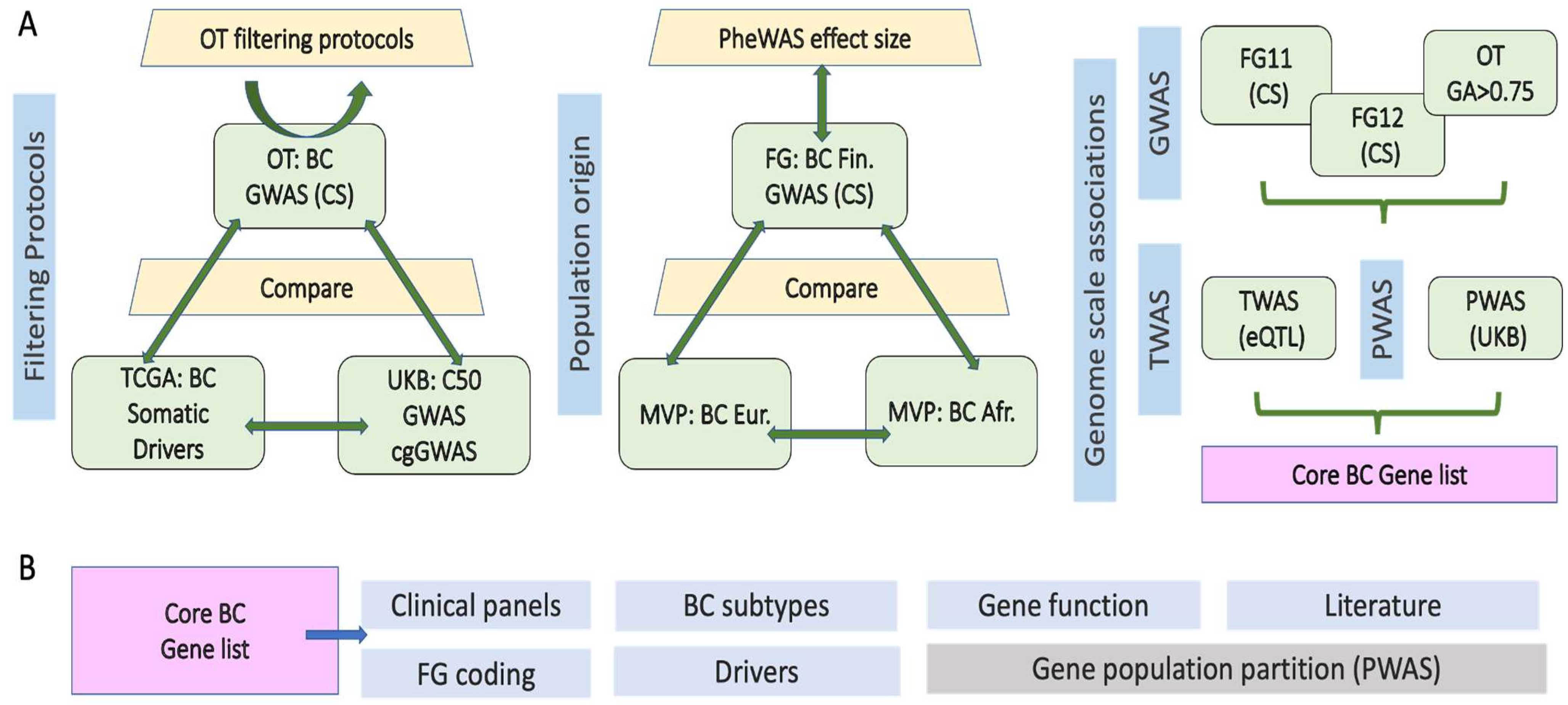 Cancers 17 03969 g001 Cancers 17 03969 g001