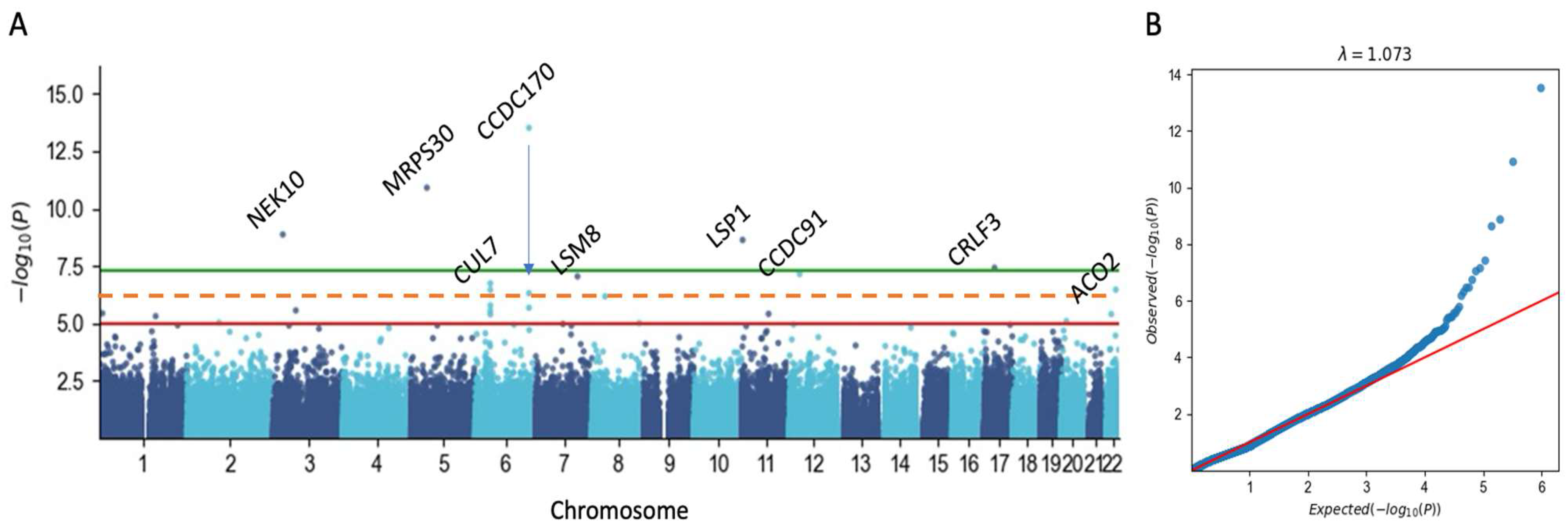 Cancers 17 03969 g003 Cancers 17 03969 g003