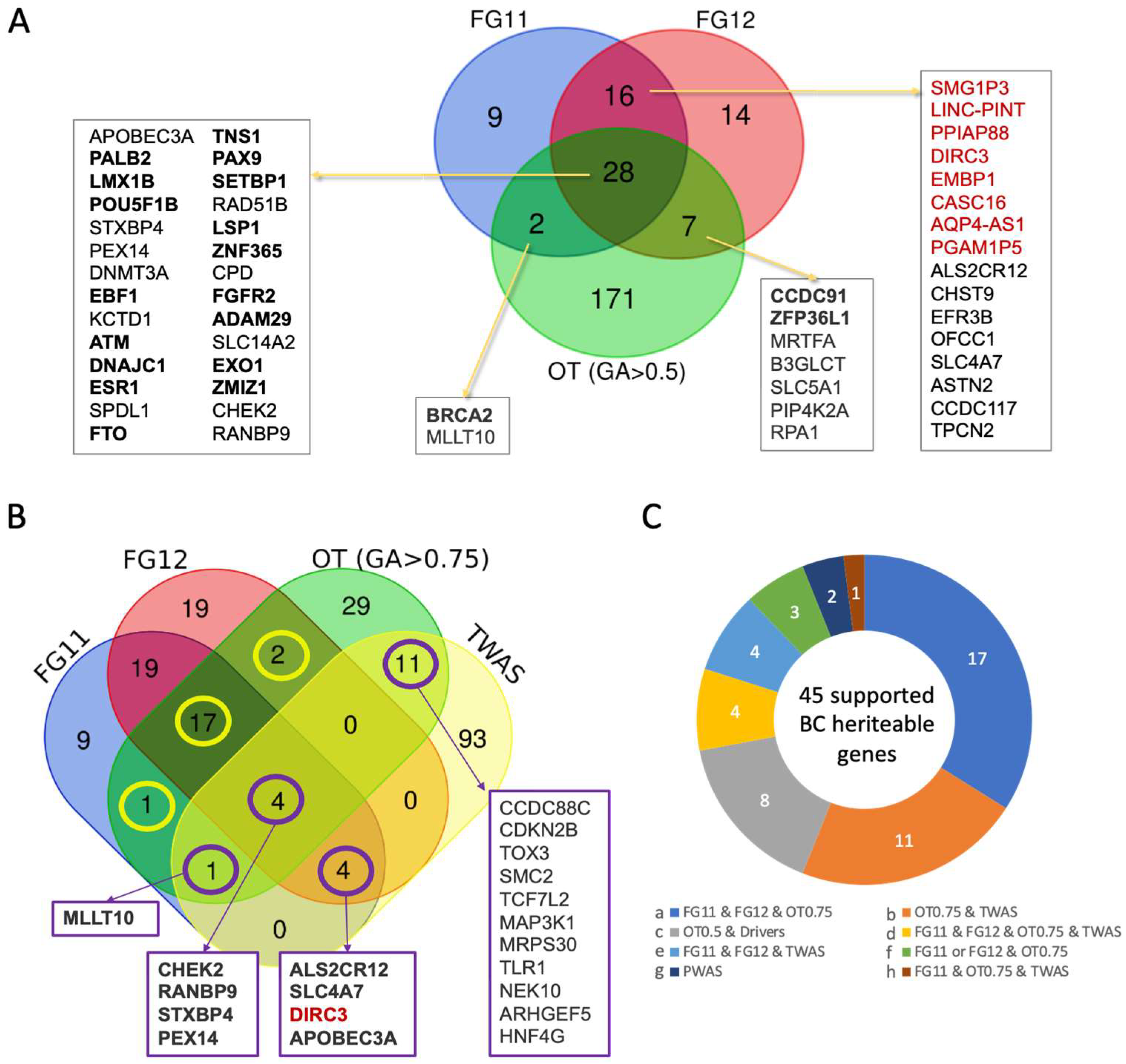 Cancers 17 03969 g006 Cancers 17 03969 g006