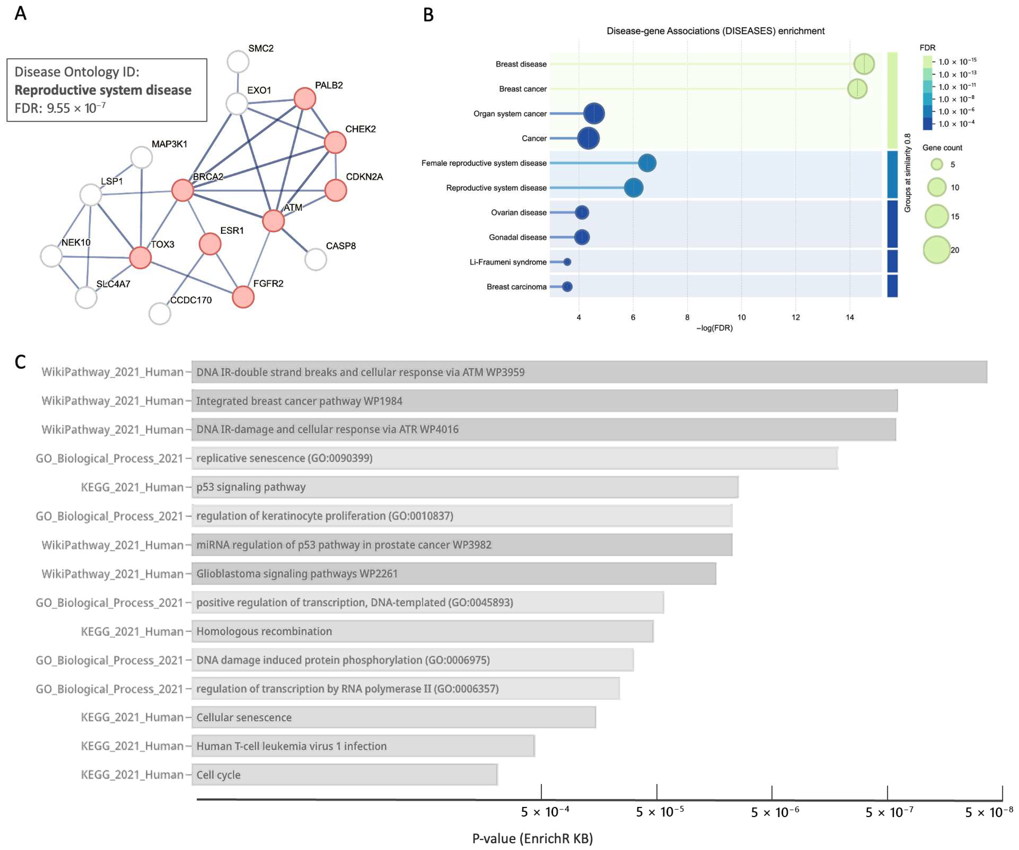 Cancers 17 03969 g007 Cancers 17 03969 g007