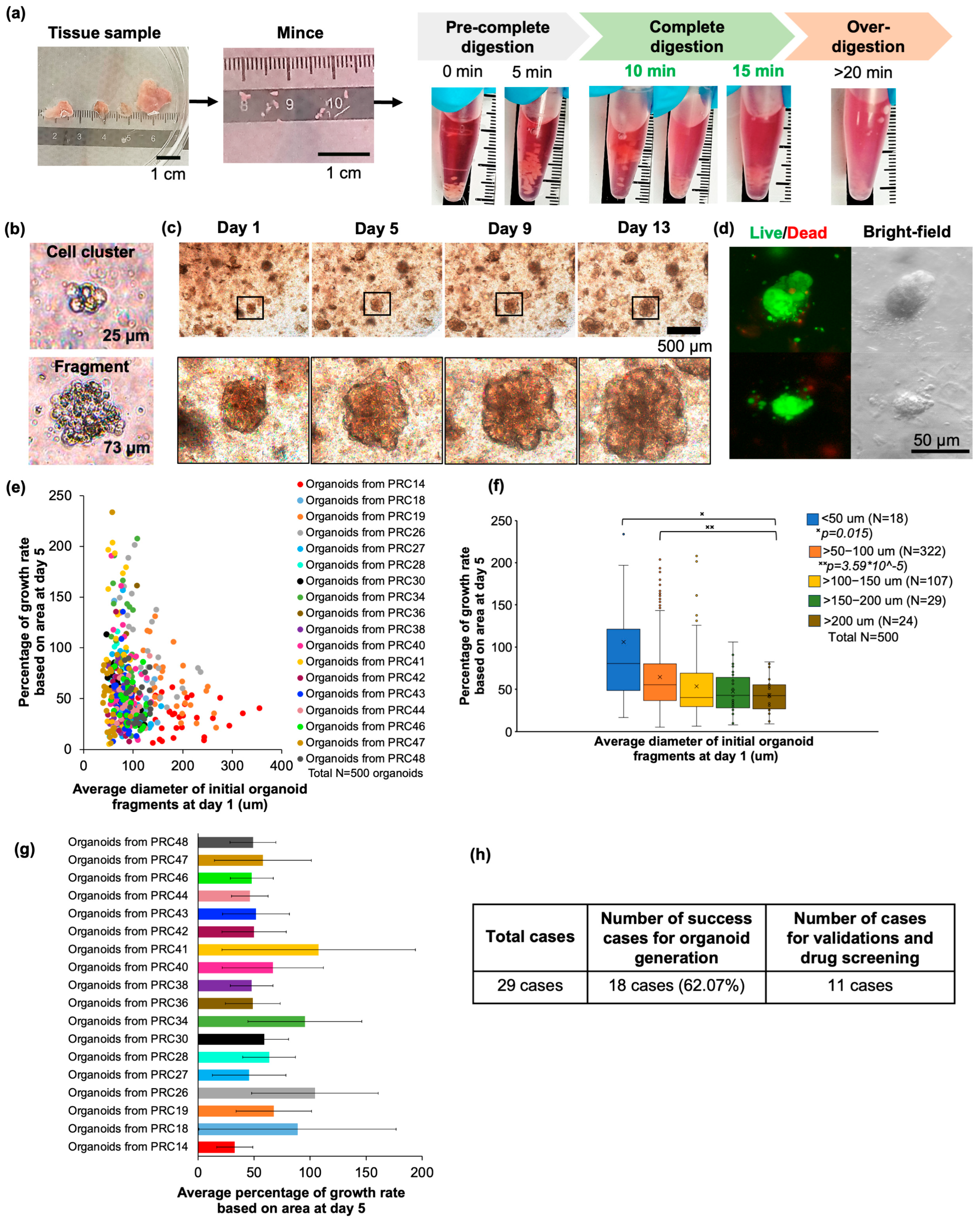 Cancers 17 03973 g001 Cancers 17 03973 g001