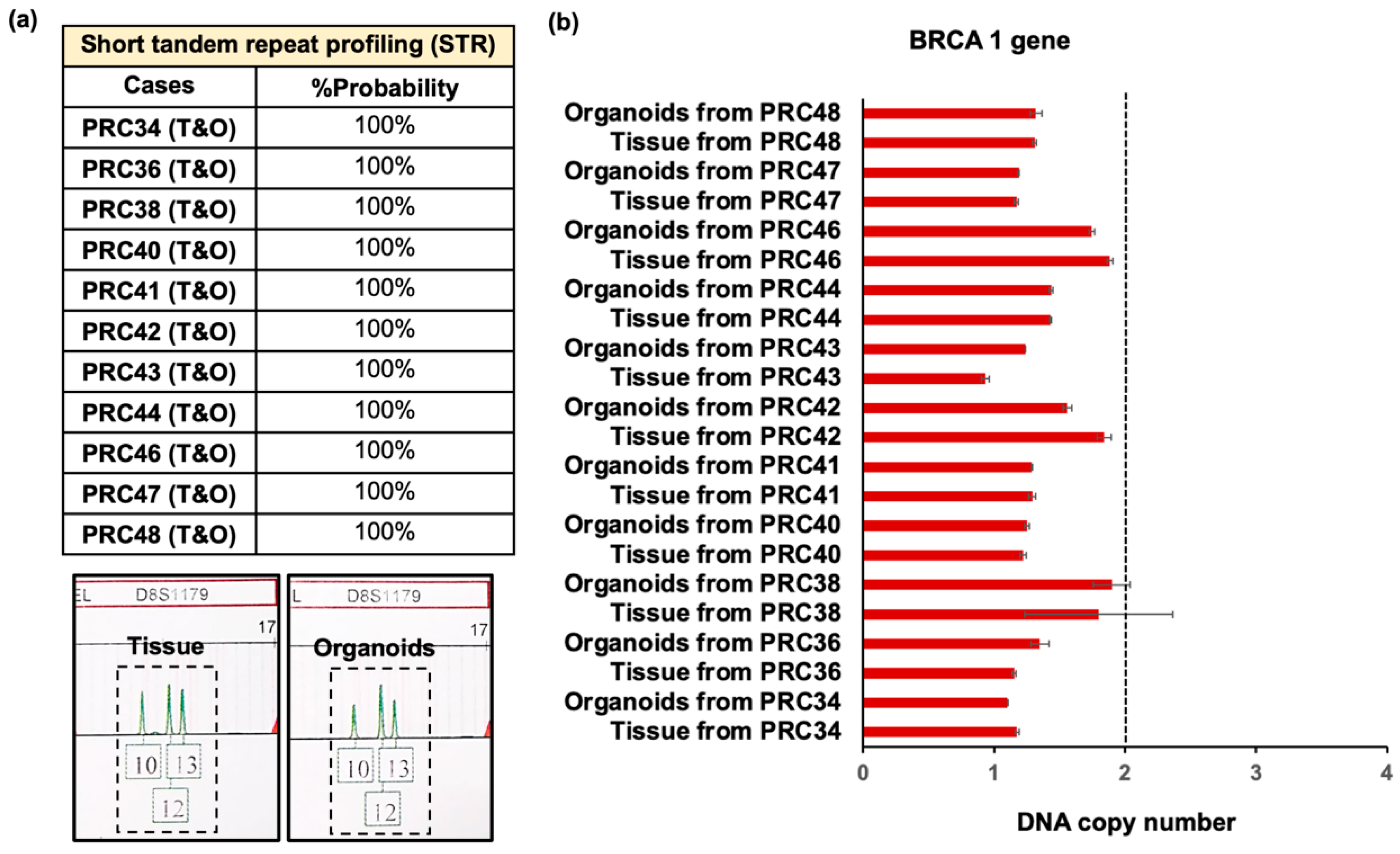 Cancers 17 03973 g003 Cancers 17 03973 g003