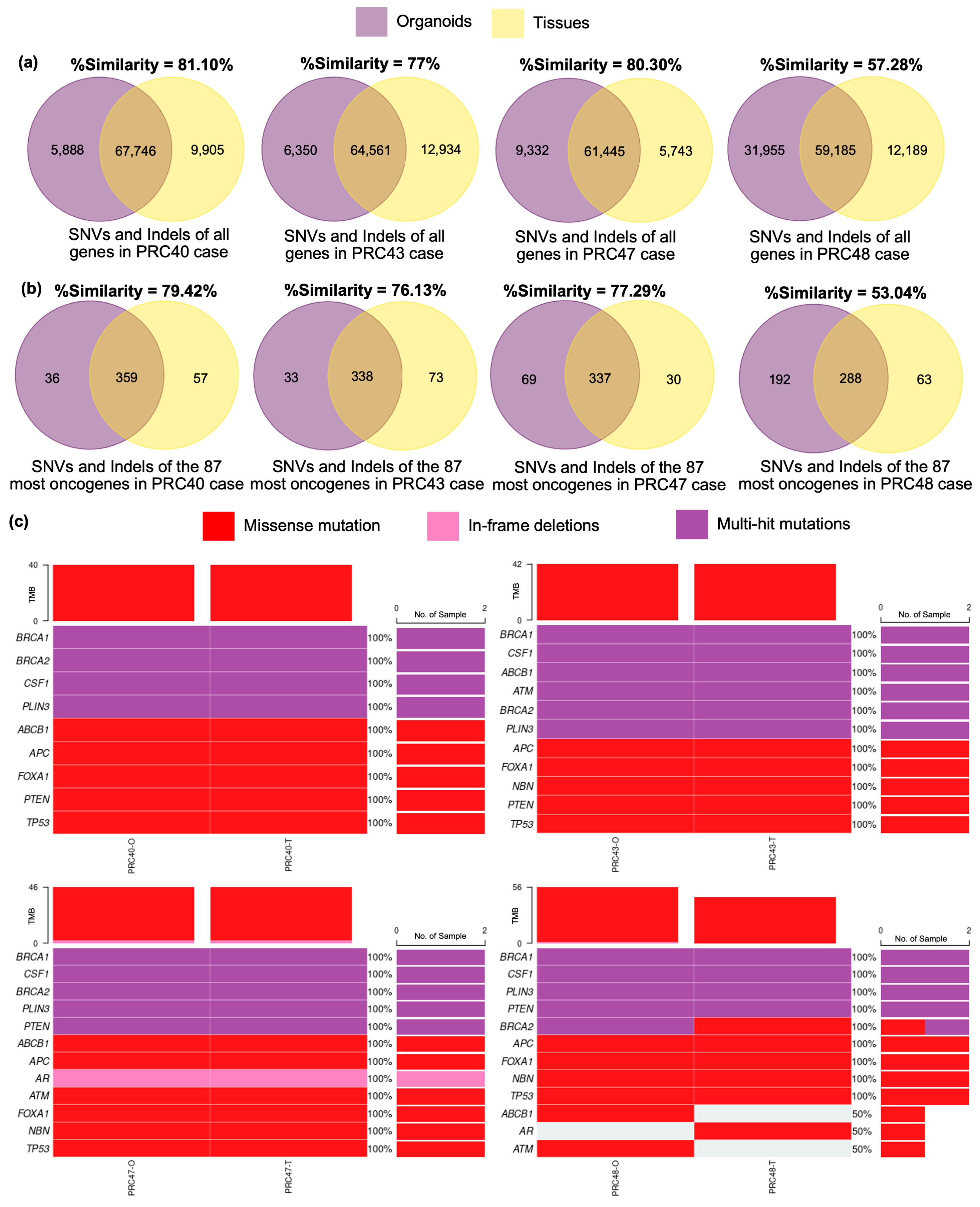 Cancers 17 03973 g004 Cancers 17 03973 g004
