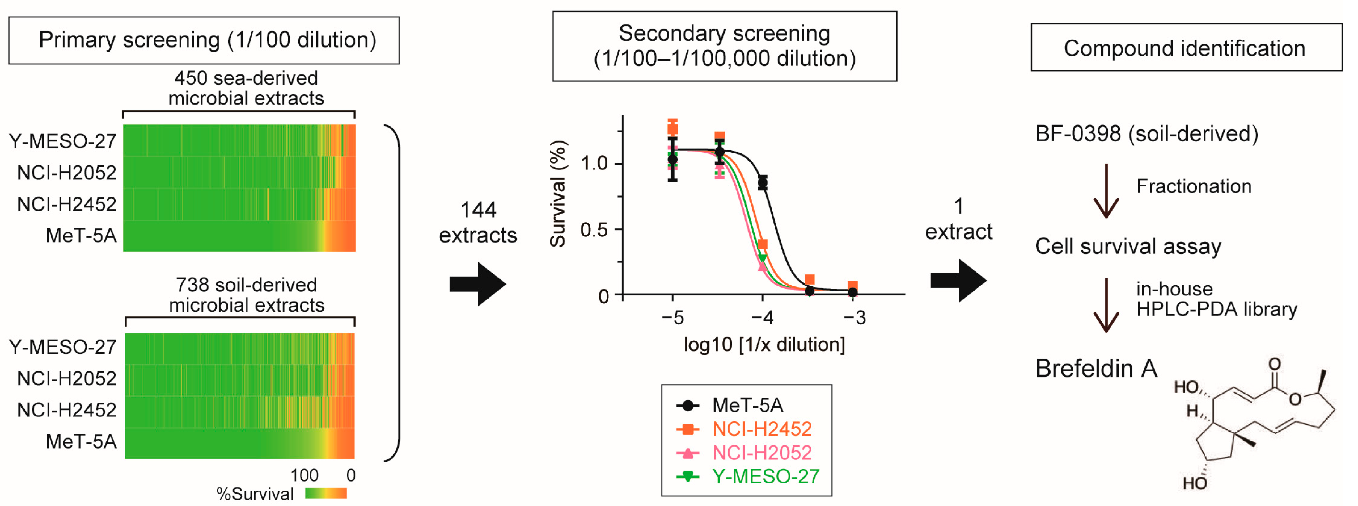 Cancers 17 03983 g001