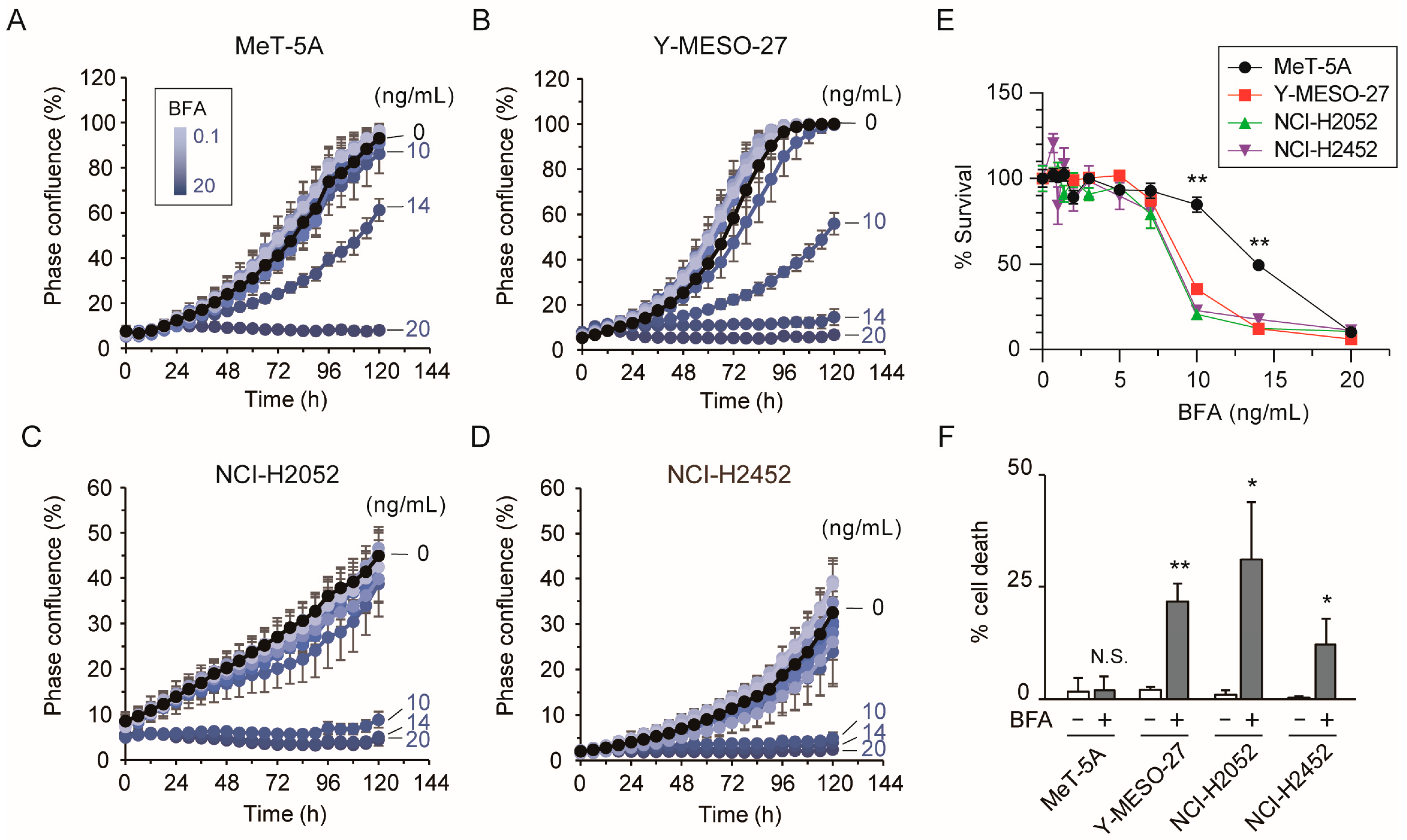 Cancers 17 03983 g002