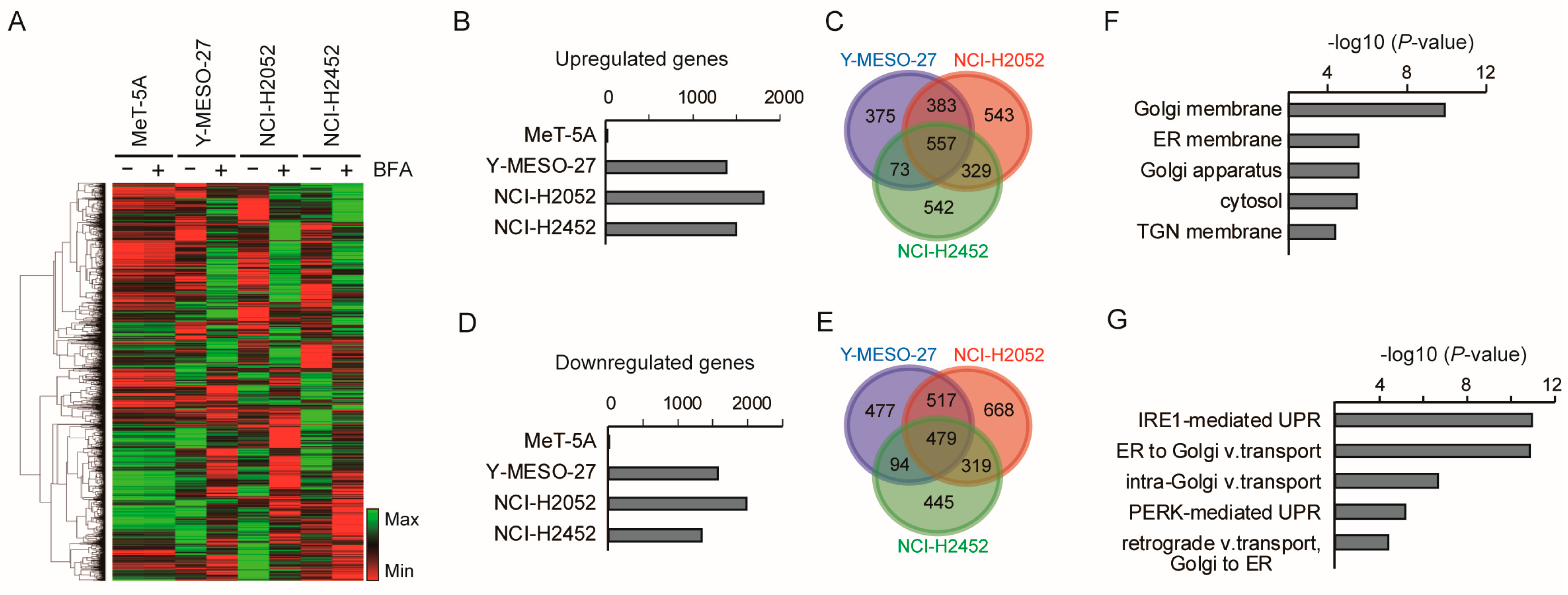 Cancers 17 03983 g003