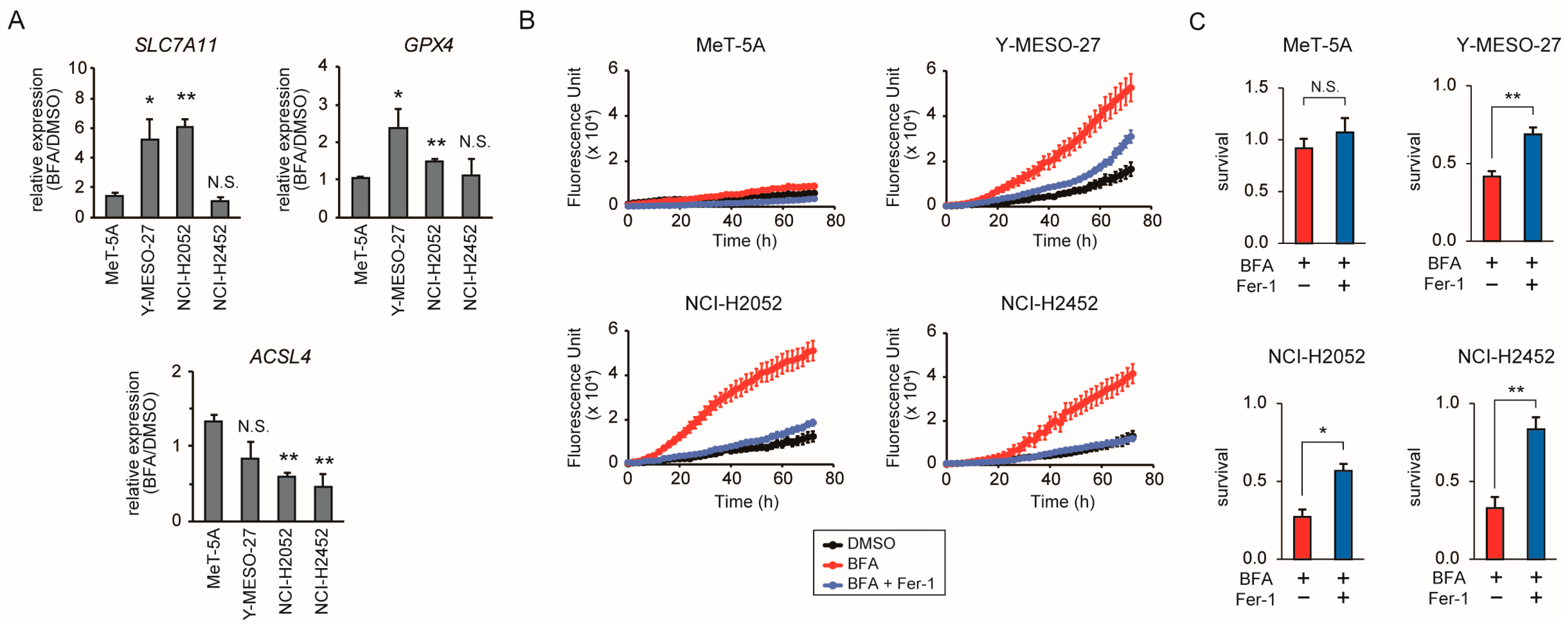 Cancers 17 03983 g004