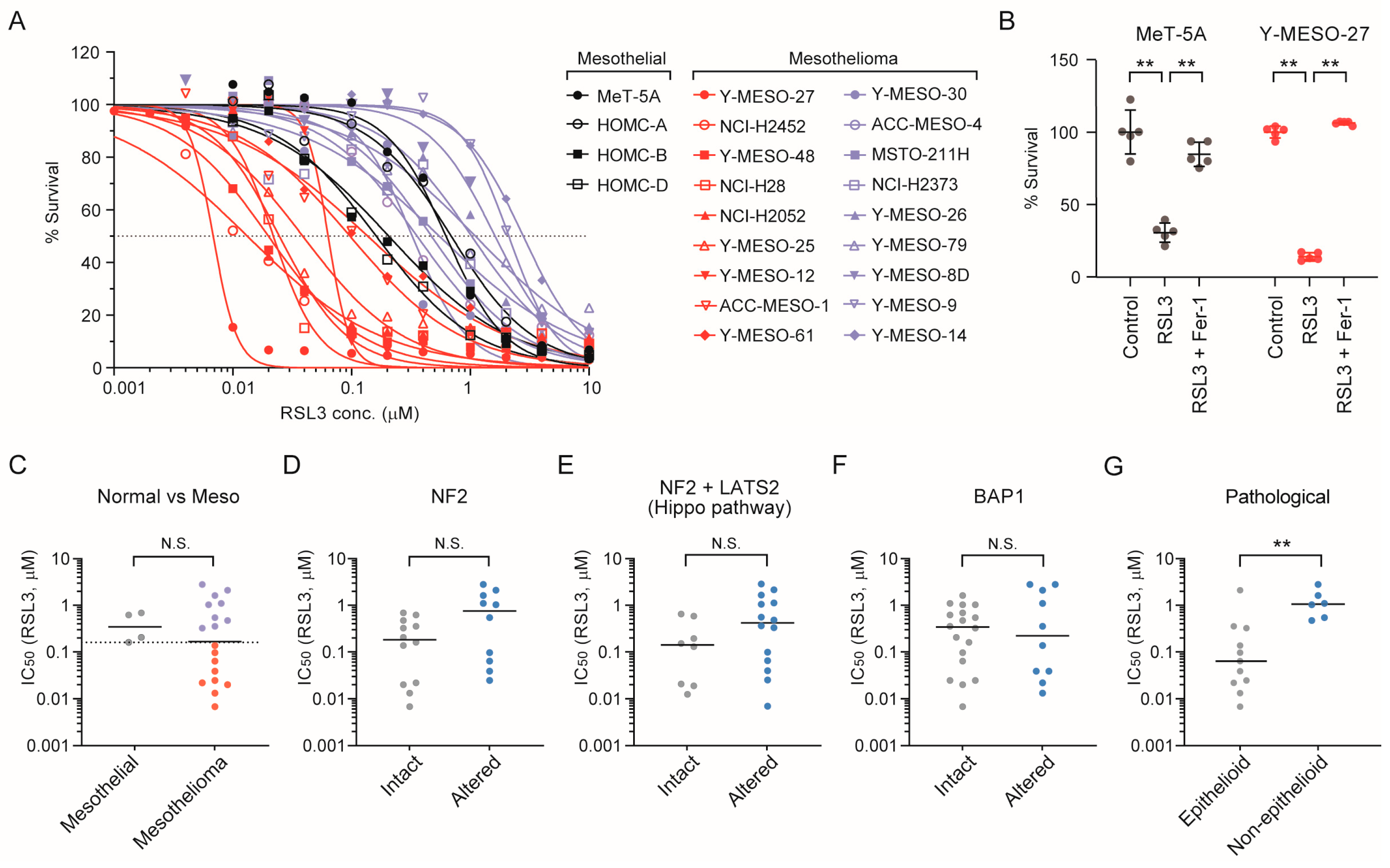 Cancers 17 03983 g005