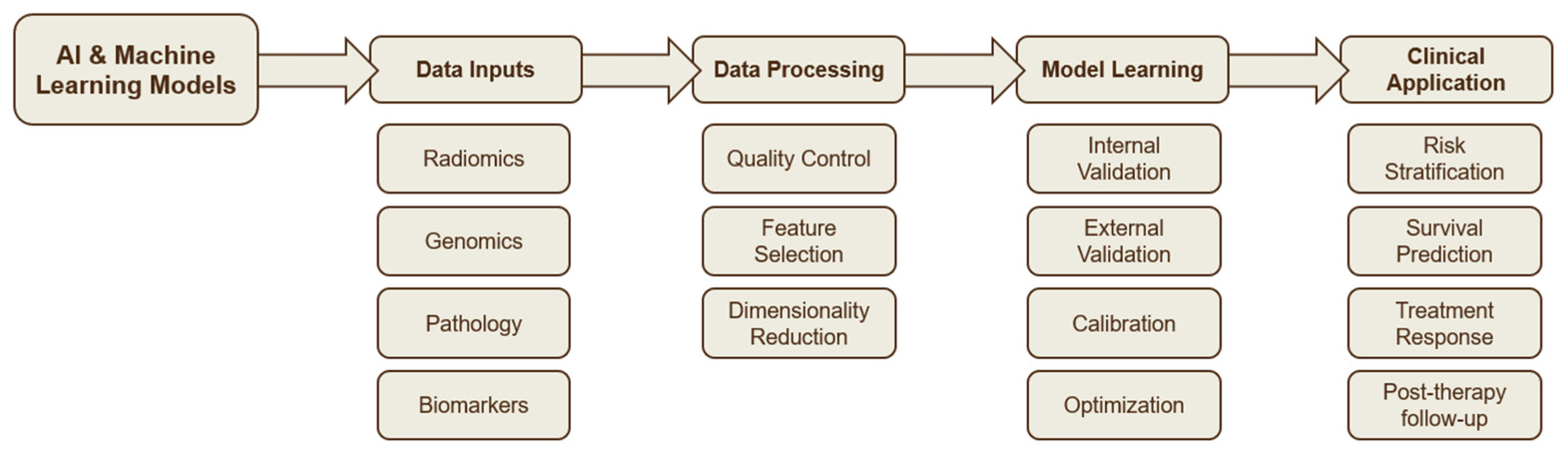 Cancers 17 03985 g003