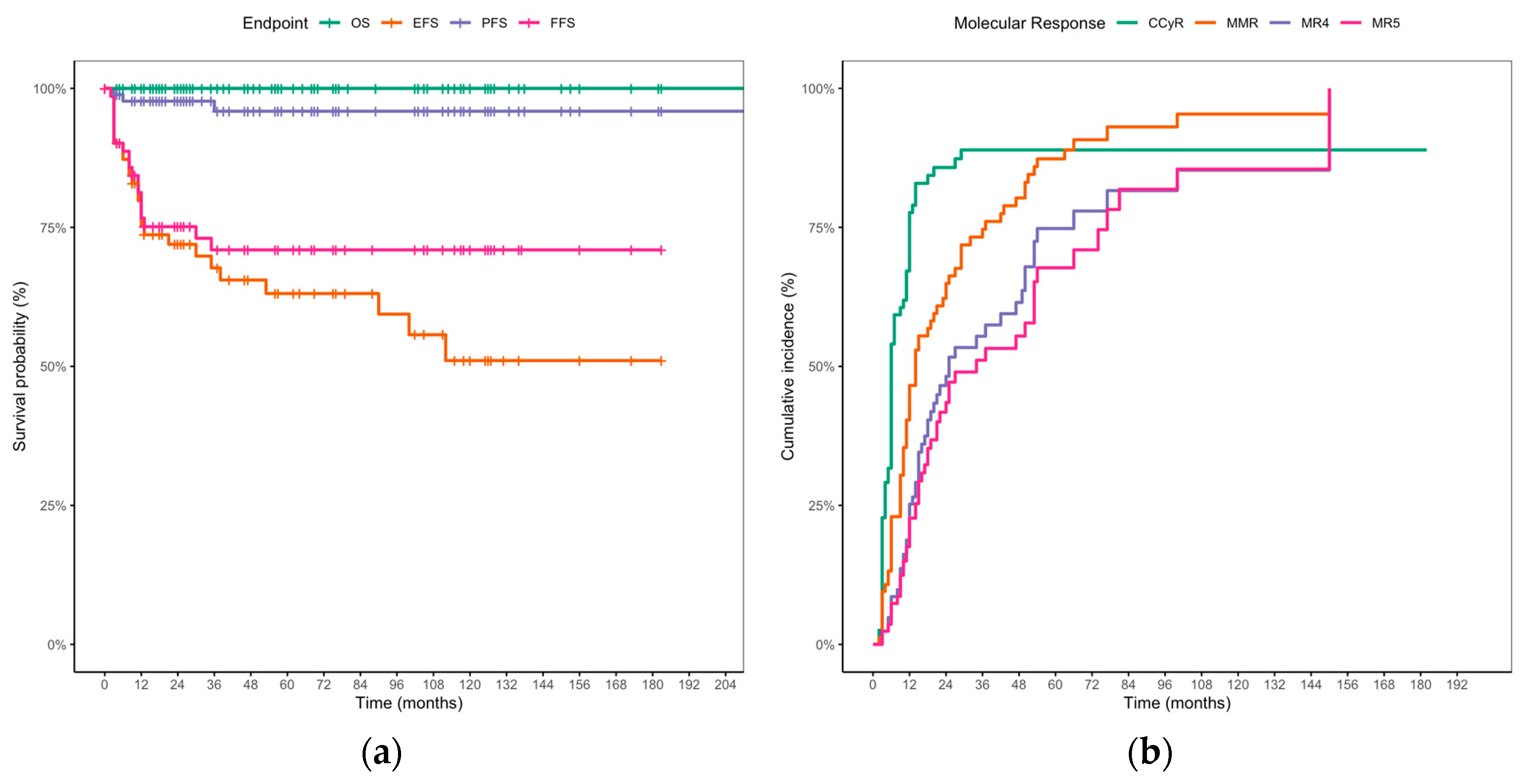 Cancers 17 03994 g002 Cancers 17 03994 g002