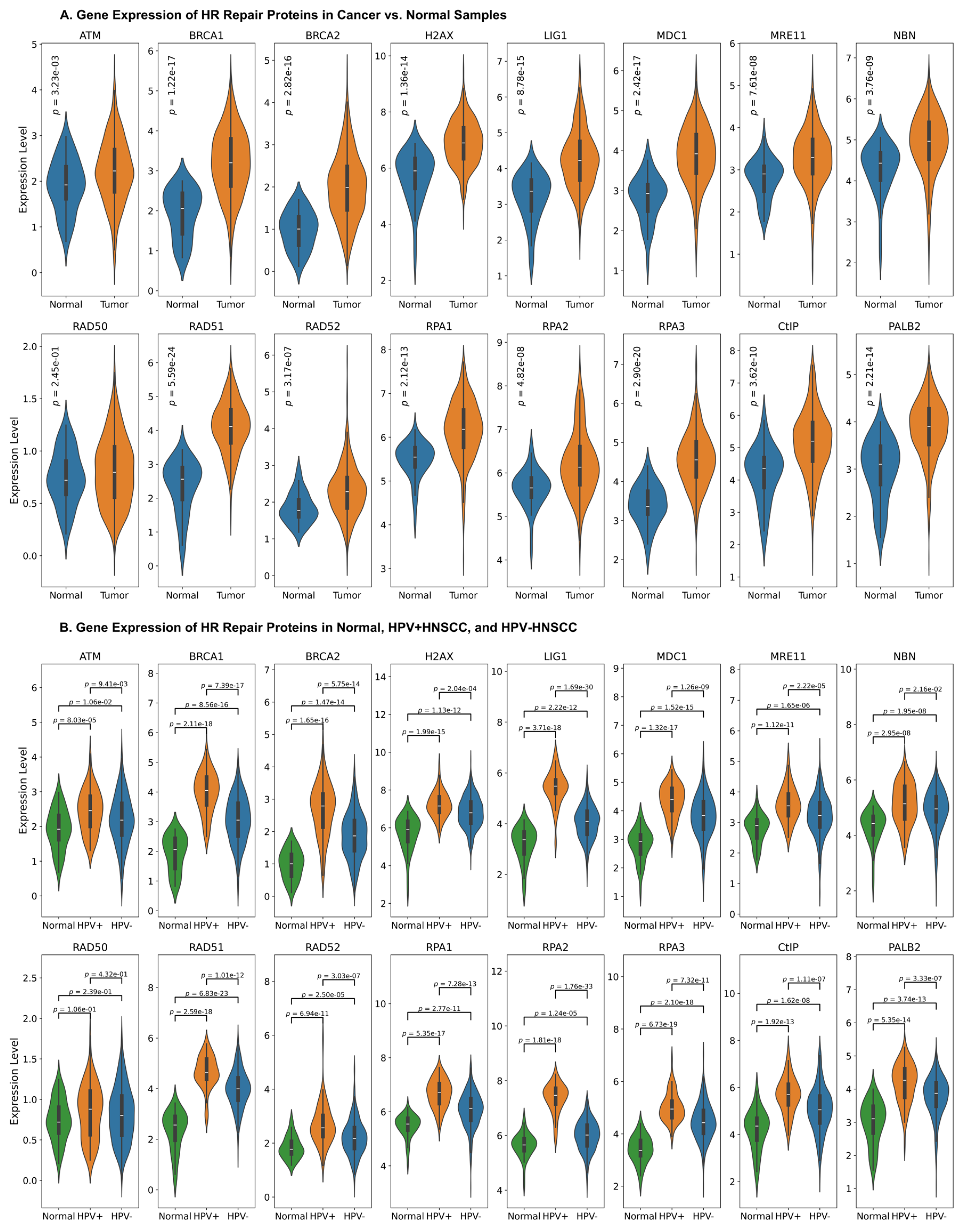 Cancers 17 03999 g001 Cancers 17 03999 g001
