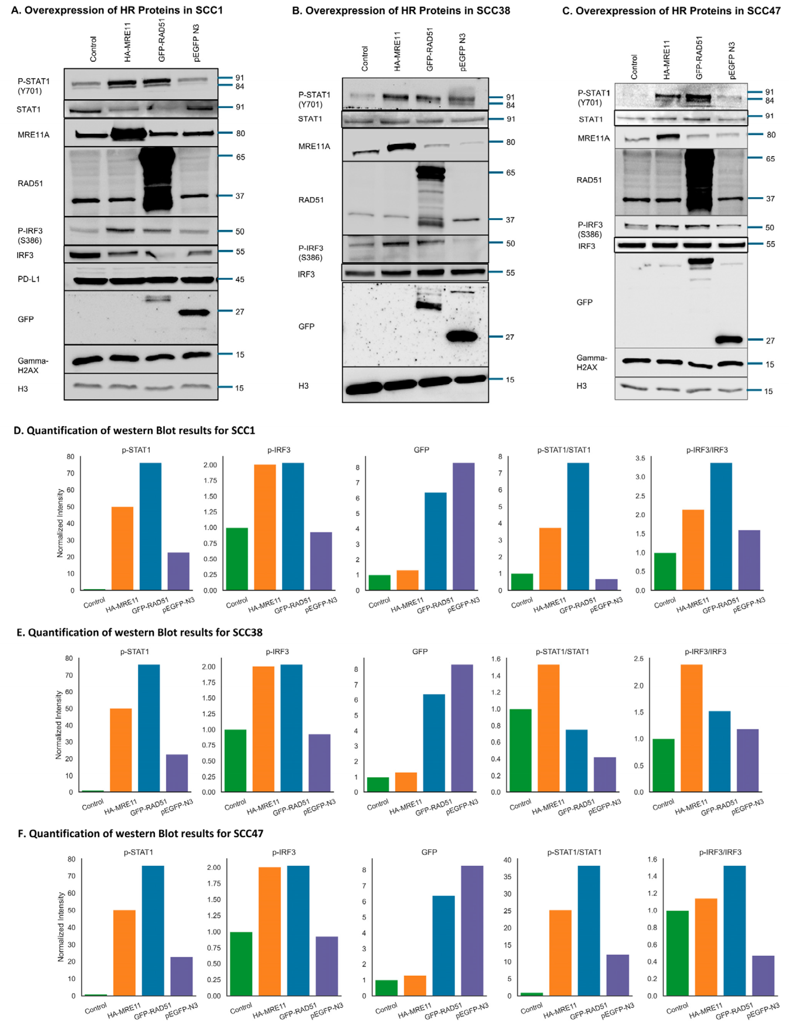 Cancers 17 03999 g006 Cancers 17 03999 g006