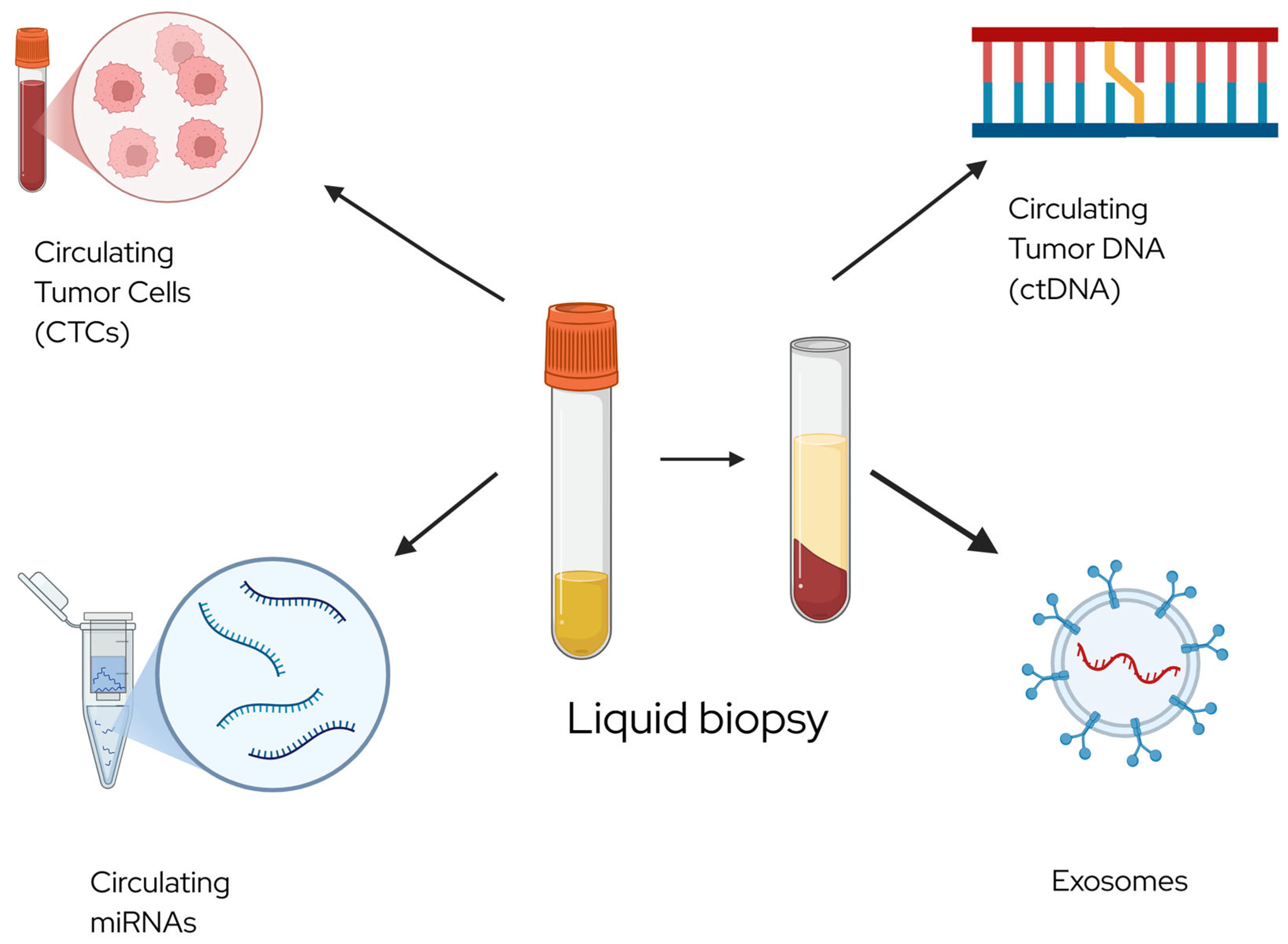 Cancers 17 04006 g001 Cancers 17 04006 g001