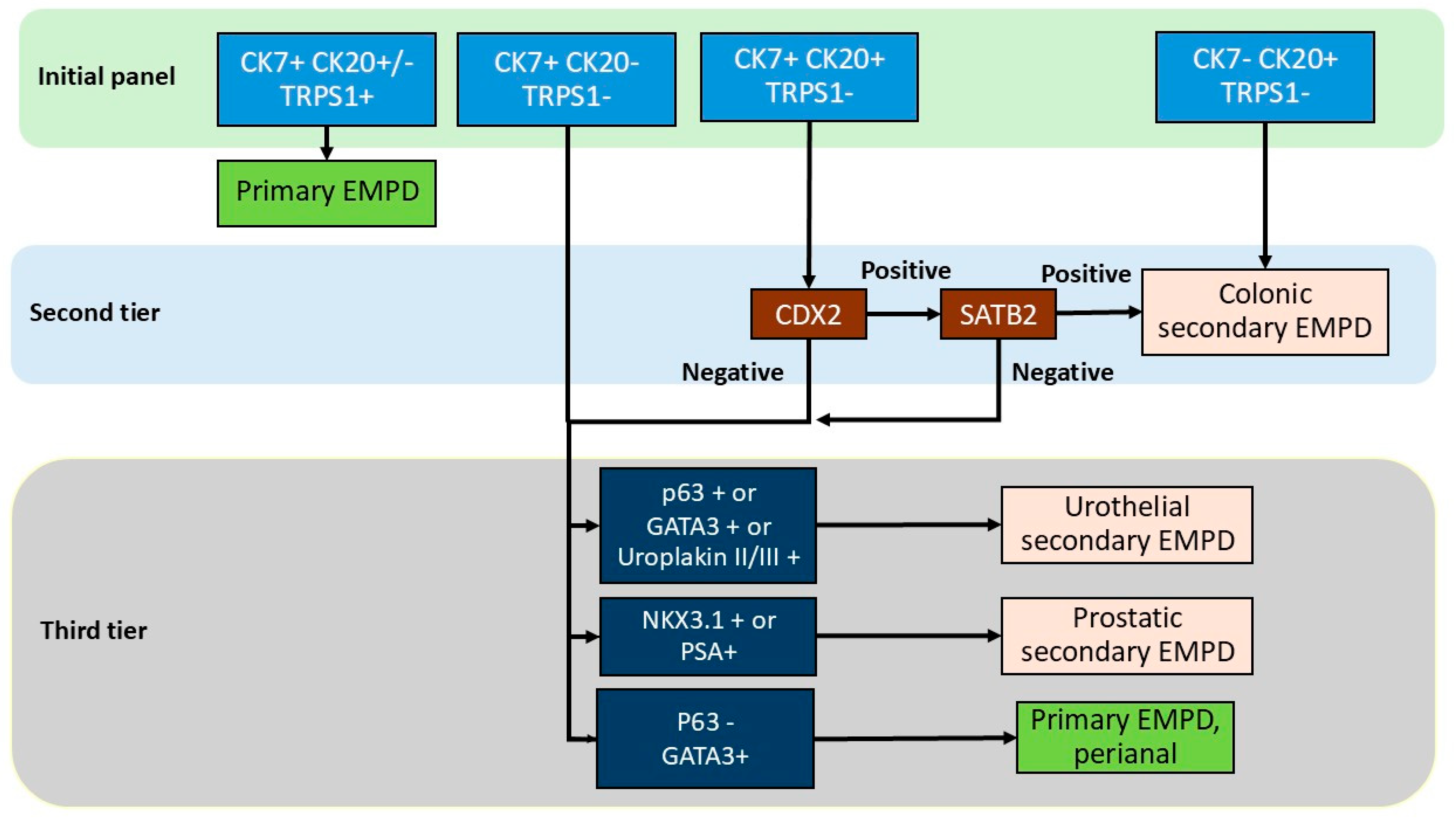 Cancers 17 04014 g006 Cancers 17 04014 g006