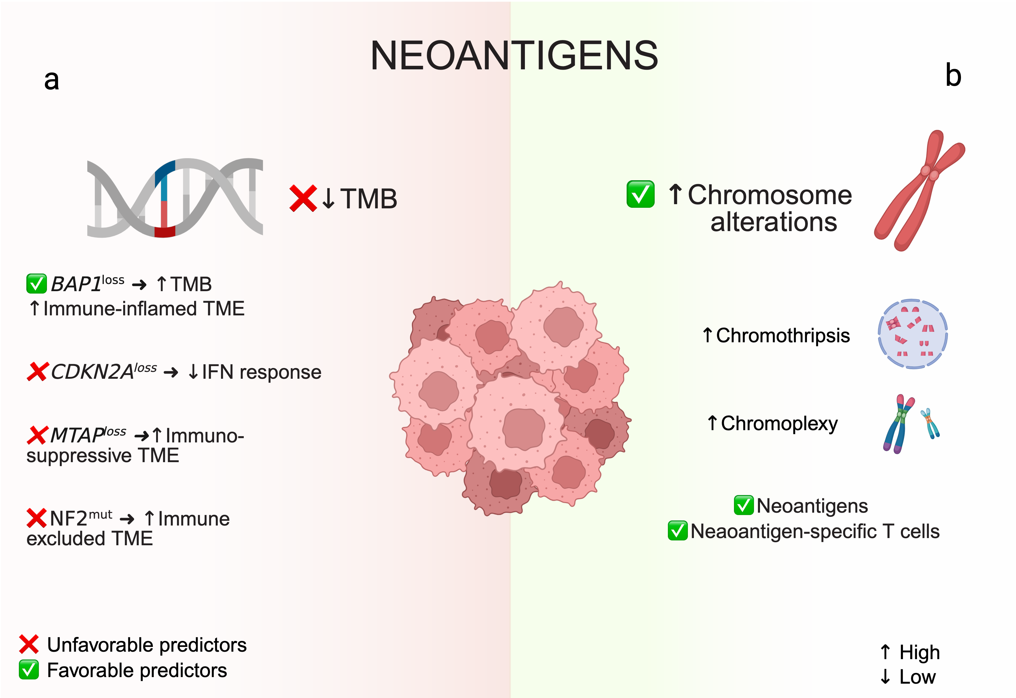 Cancers 17 04020 g002 Cancers 17 04020 g002